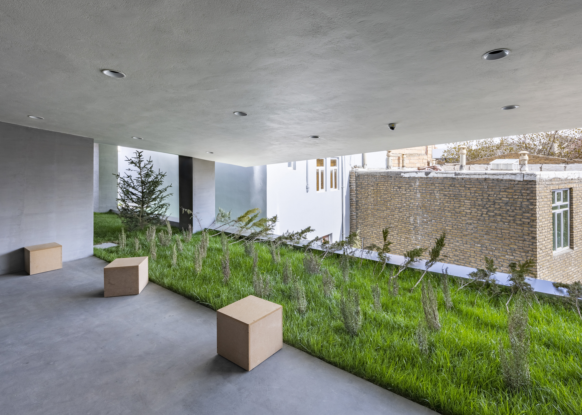 Gallery space with planted slope and cube benches beneath concrete ceiling and clerestory windows
