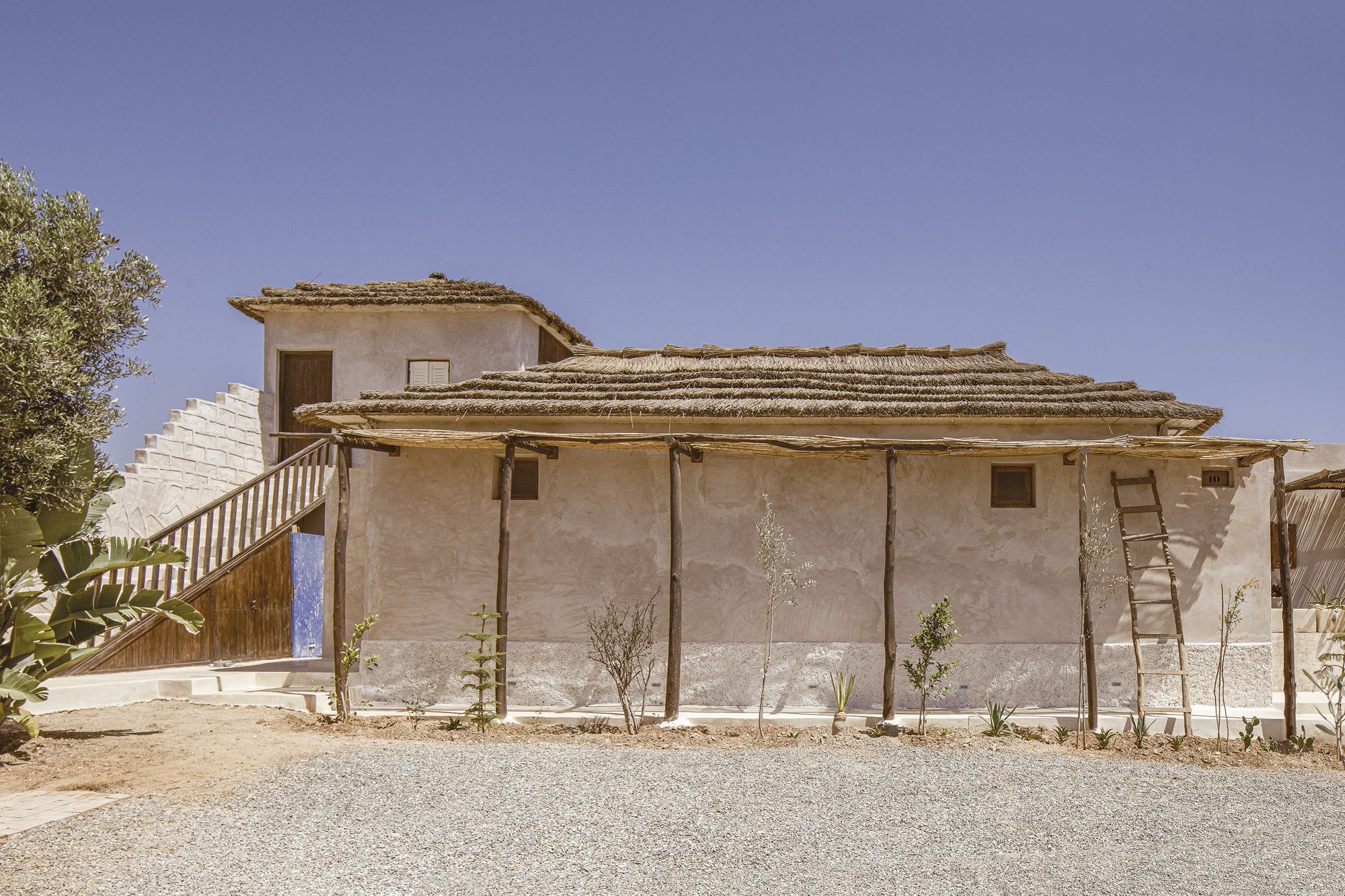 Facade with layered thatched roofs on timber poles over rendered walls and newly planted olive saplings