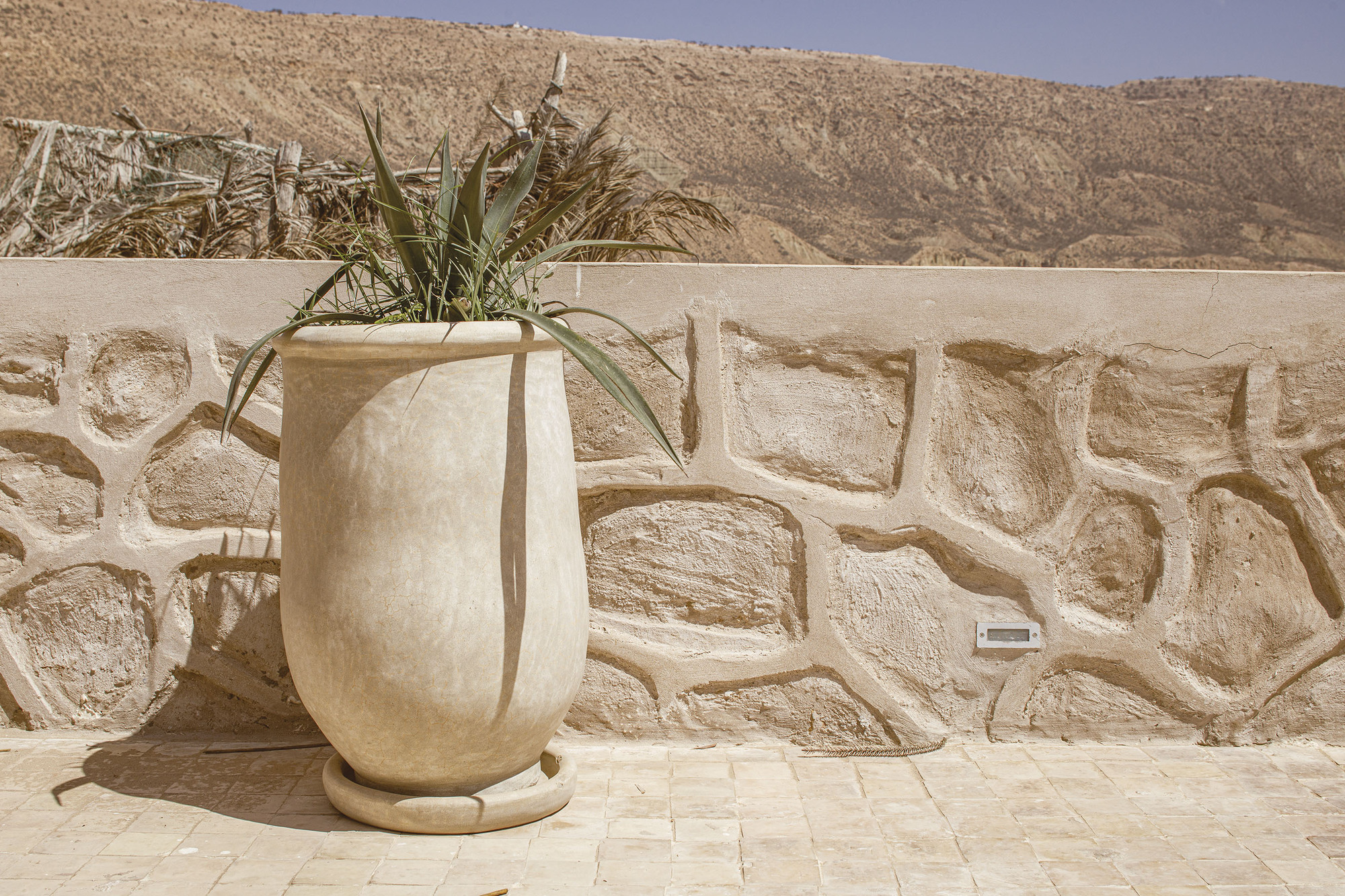 Close-up of a ceramic planter with desert plant against a relief-carved stone wall with arid hillside beyond