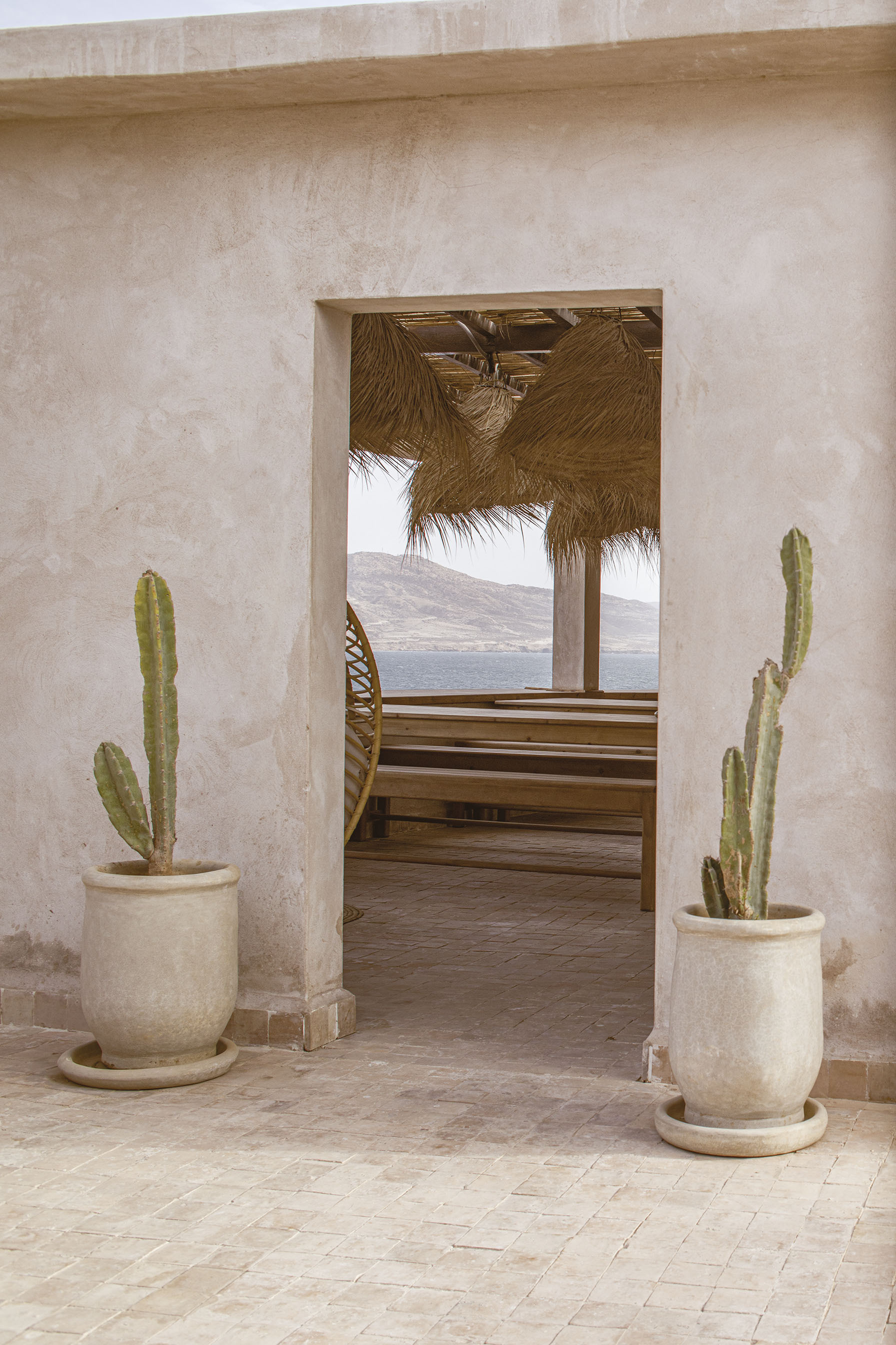 Doorway framed by potted cacti opening to a timber deck with thatch shade structure beyond