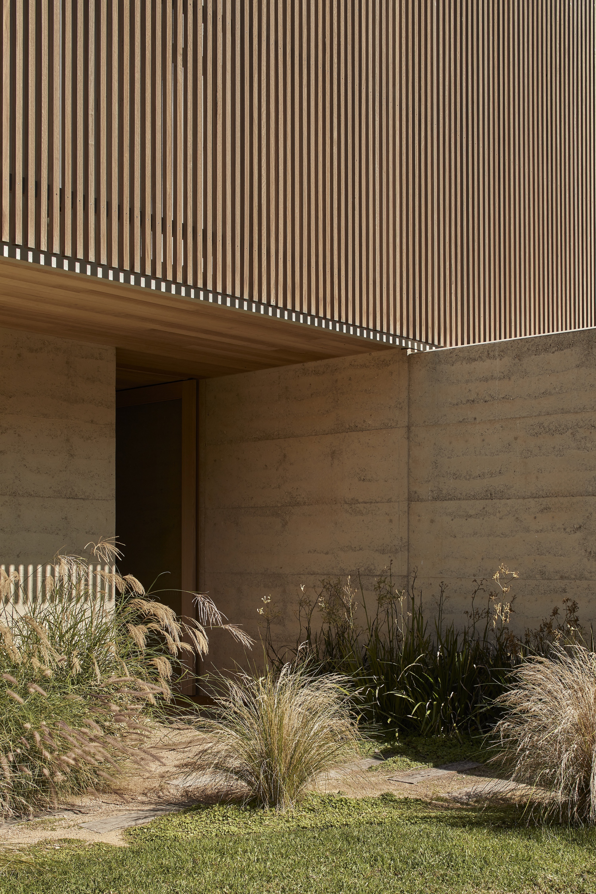 Junction of vertical timber battens and rammed earth wall beside ornamental grasses in afternoon sunlight