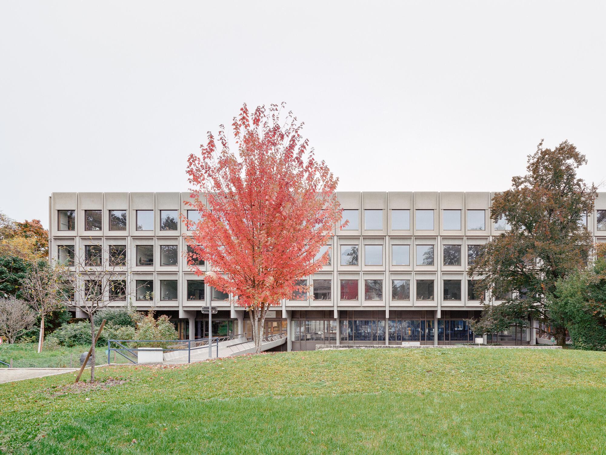 View of the concrete framed facade across a lawn with a red-leafed tree in autumn