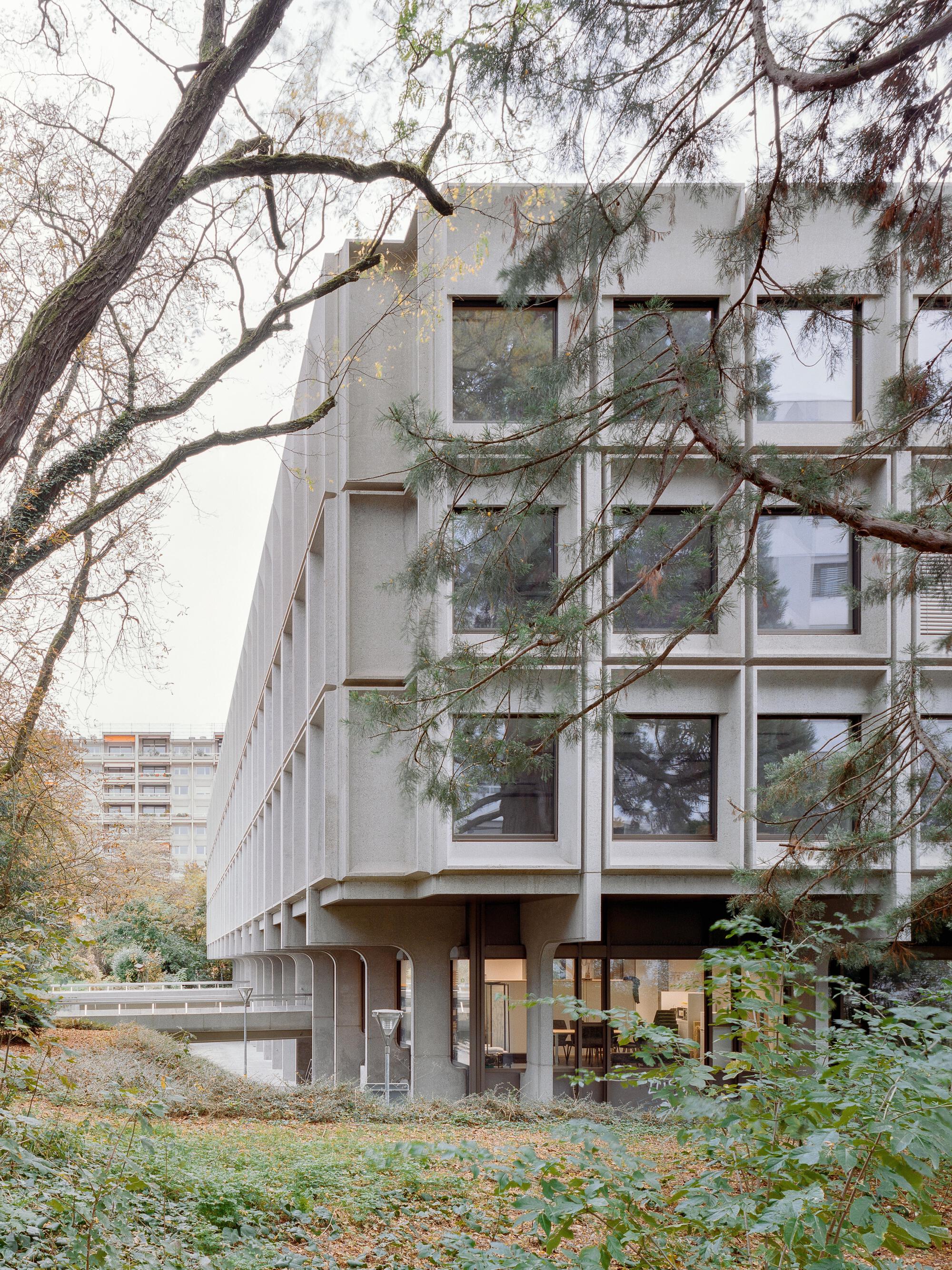 Elevated concrete building on piloti viewed through bare winter trees and undergrowth