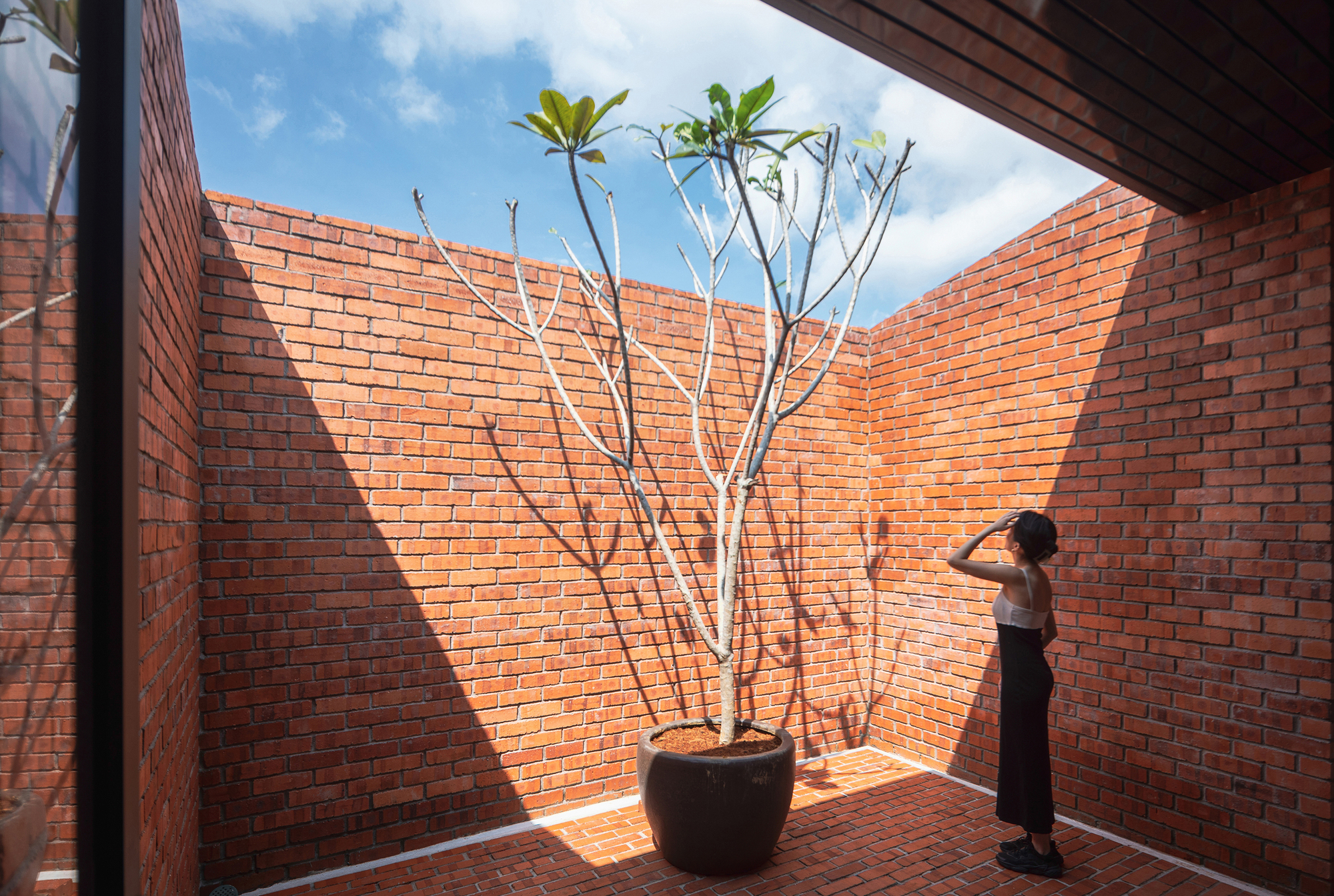 Enclosed brick courtyard with potted frangipani tree casting angular shadows and a person standing beside it