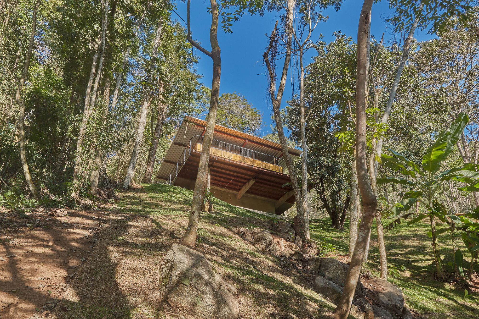 Timber pavilion with overhanging roof nestled on a sloping hillside among eucalyptus trees
