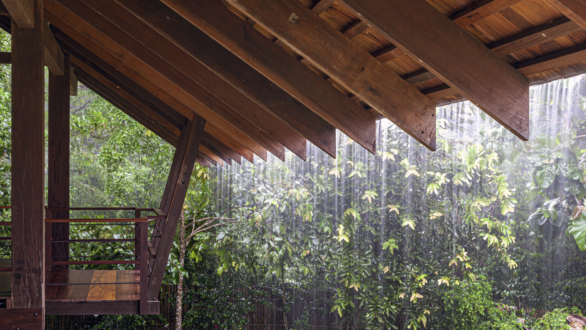 Covered balcony edge with timber beams and diagonal bracing framing rain shower and green vegetation