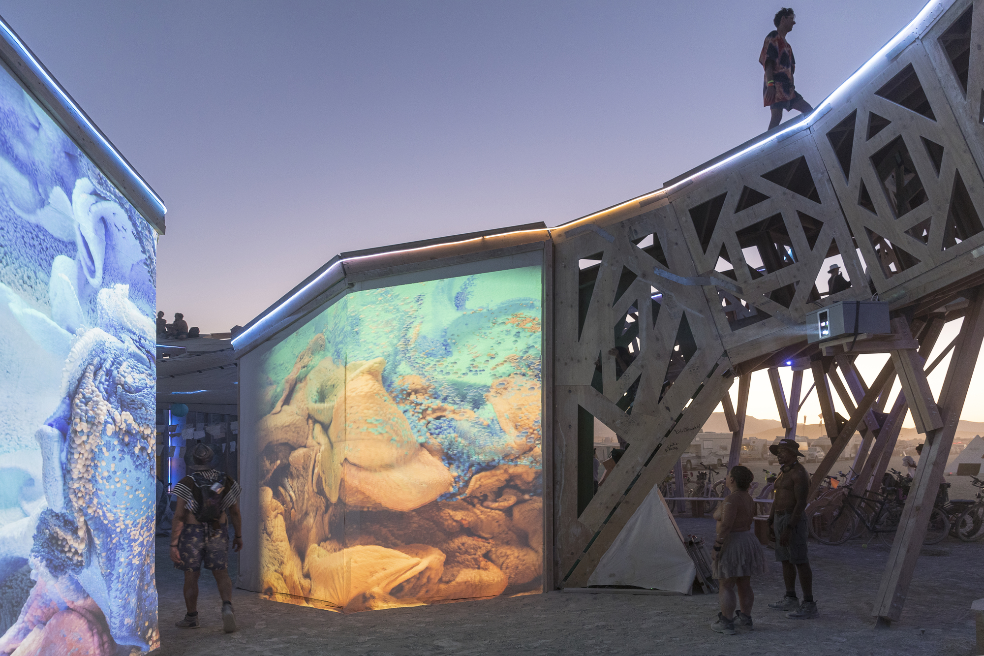 Exterior facade with backlit translucent panels showing swirling imagery beneath latticed timber canopy