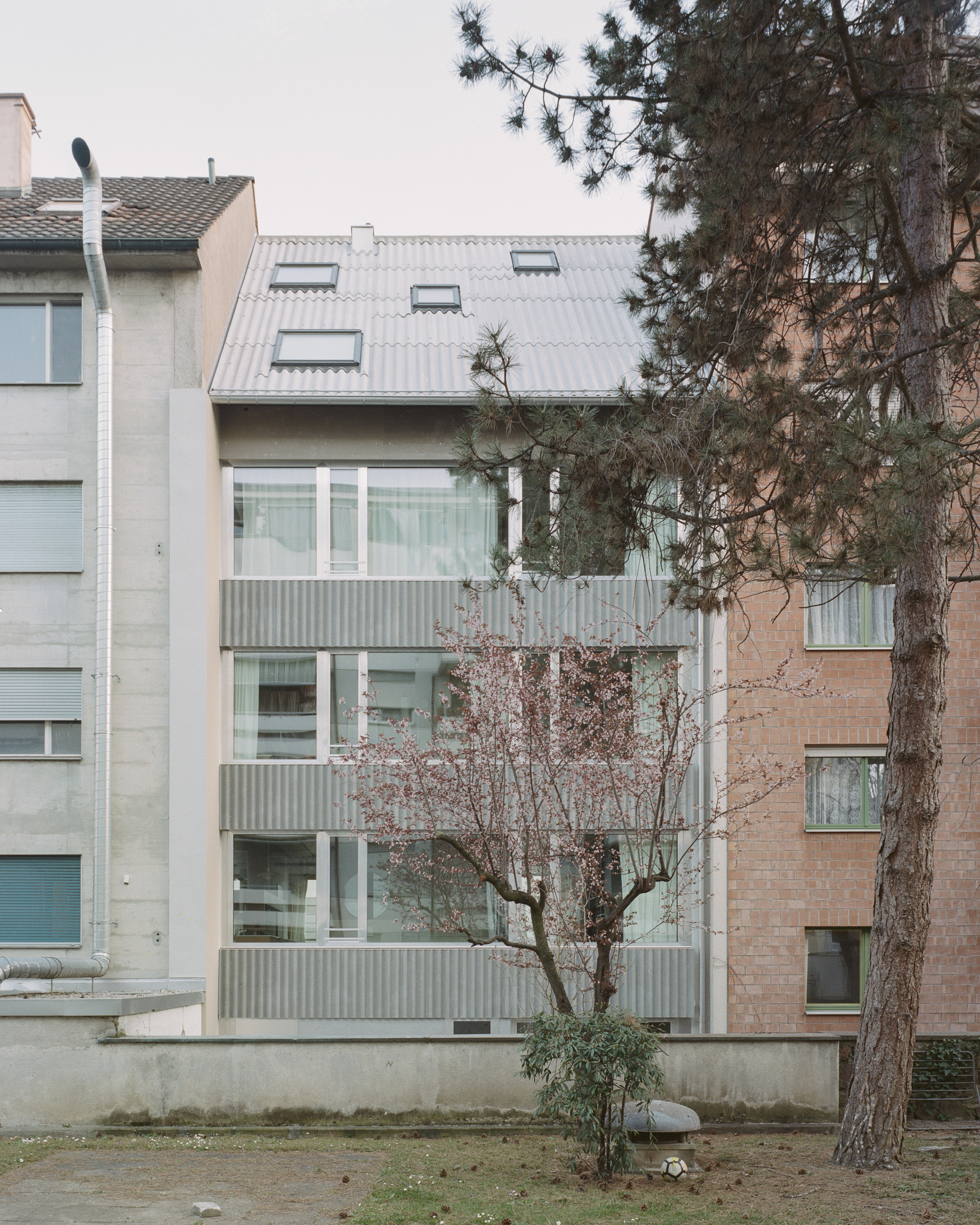 Facade of corrugated metal cladding with tilted dormers framed by a bare tree and an evergreen in winter