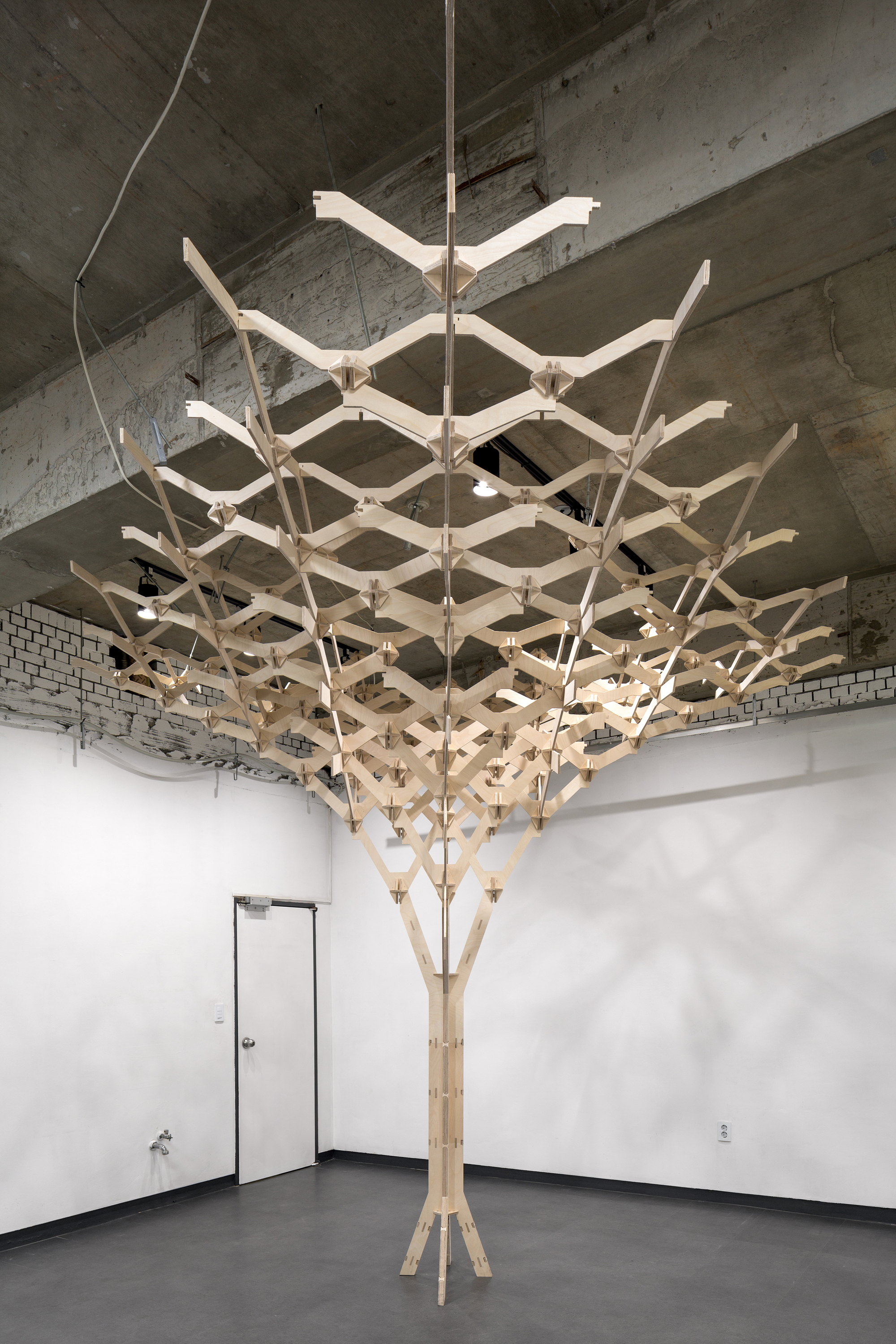 Timber canopy installation with suspended cable supports meeting at a central trunk in a white gallery space