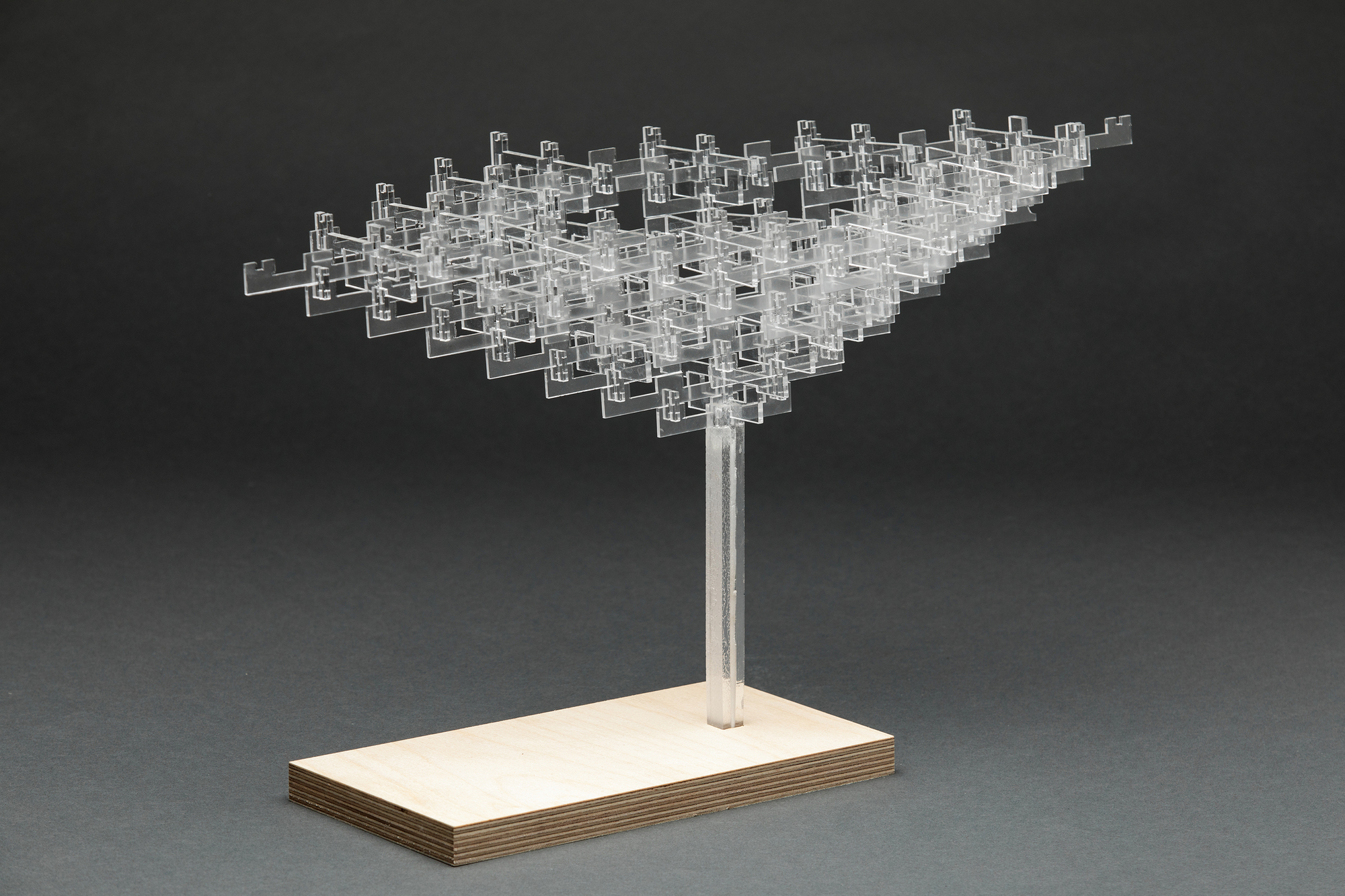 Transparent acrylic model of a branching canopy structure on a plywood base against grey