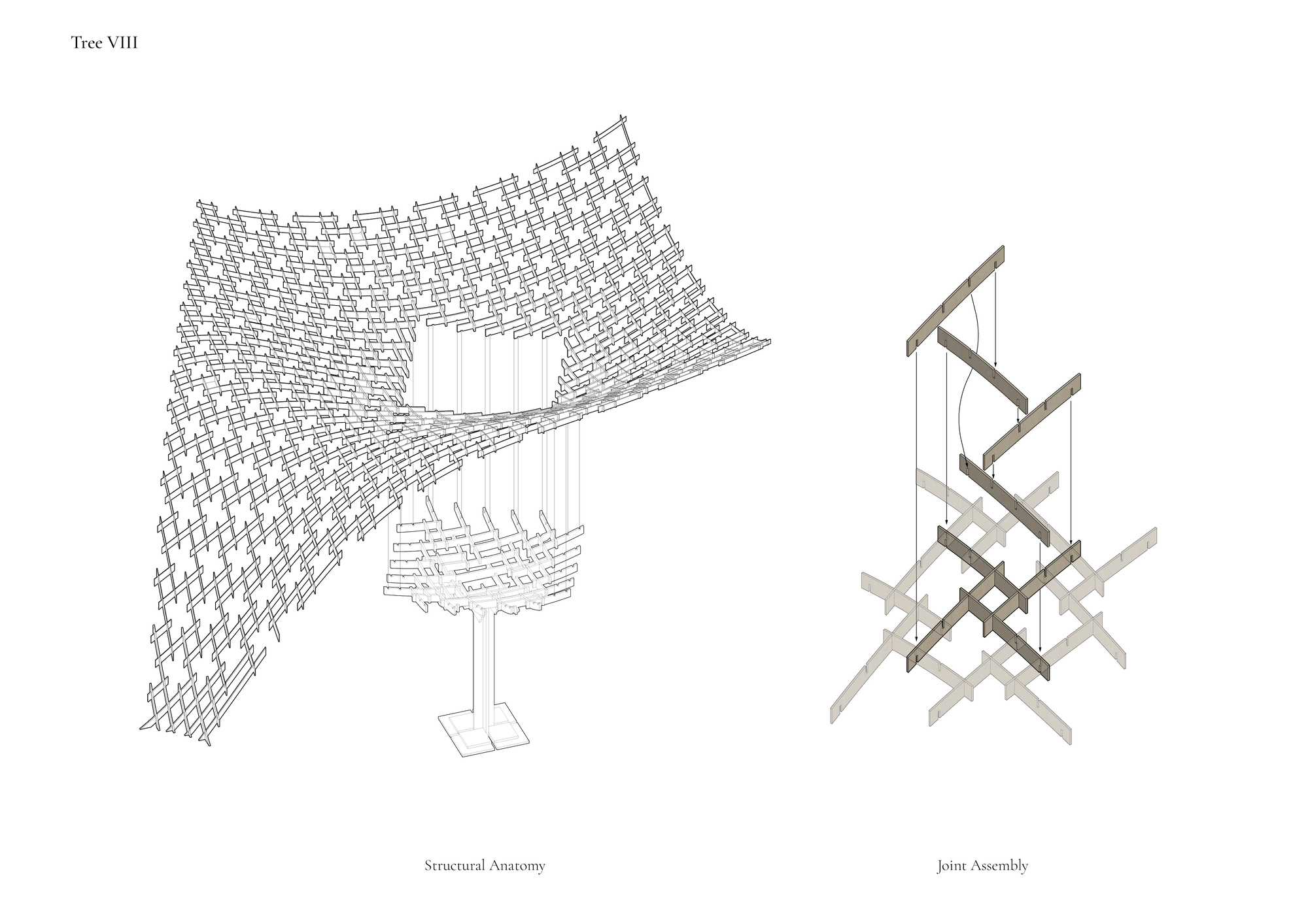 Axonometric drawing showing structural anatomy of a shell roof with timber joinery details