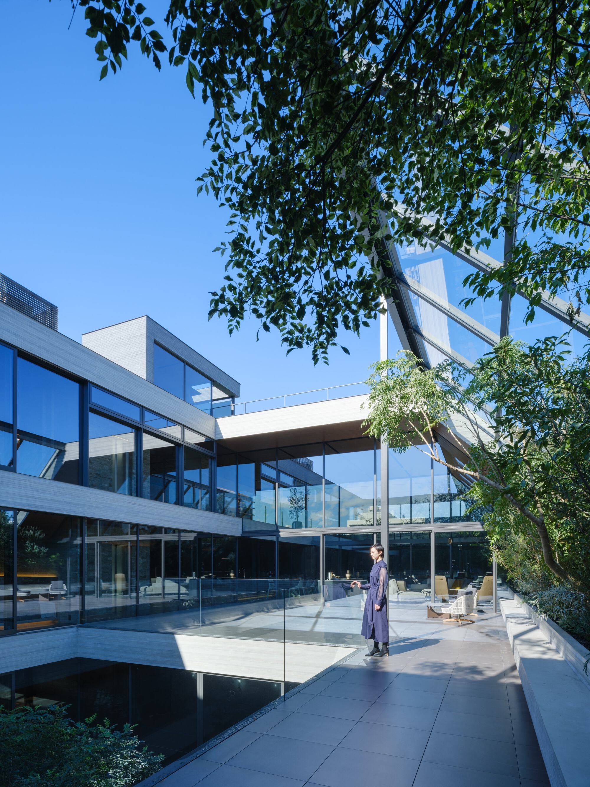 Courtyard view with glass-walled volumes framing a reflecting pool beneath overhanging tree branches