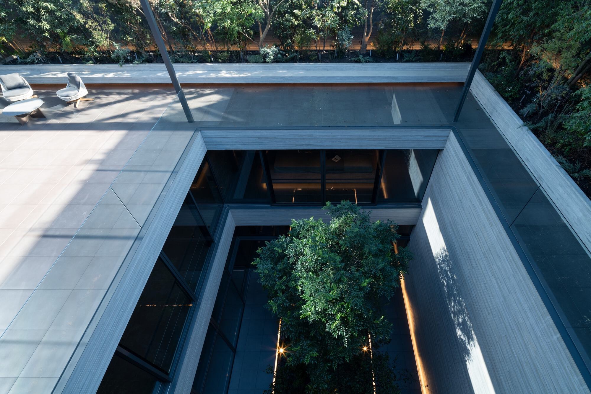 Looking down into a double-height courtyard with a mature tree growing from the lower level