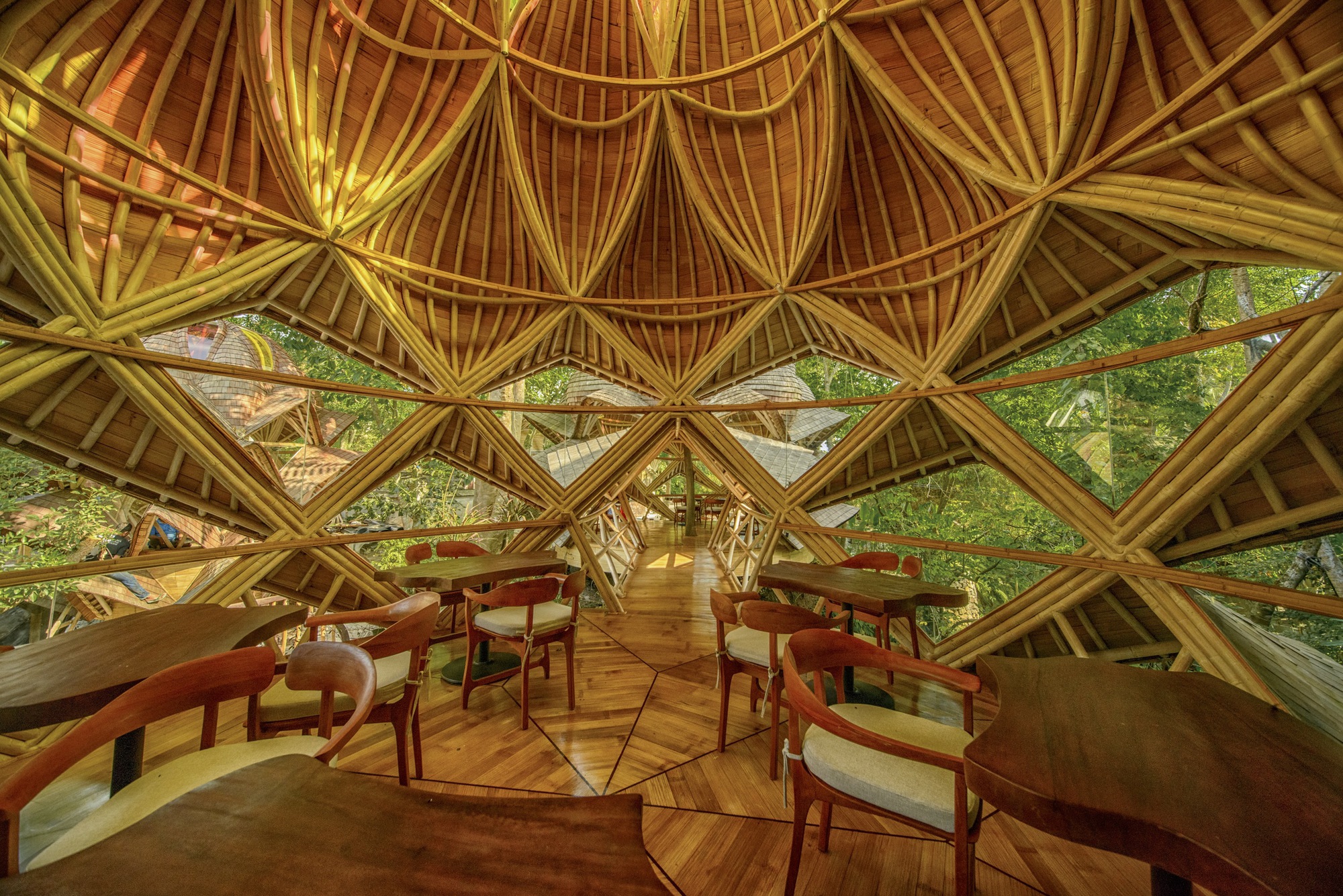 Dining room interior with radial timber framing creating triangular windows open to surrounding tree canopy