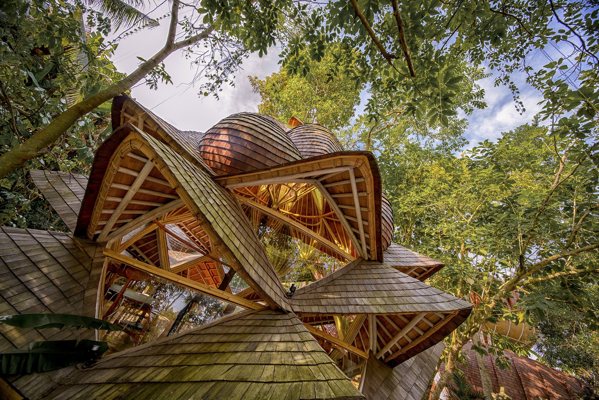 Upward view of exposed timber lattice structure supporting clustered dome roofs surrounded by mature trees