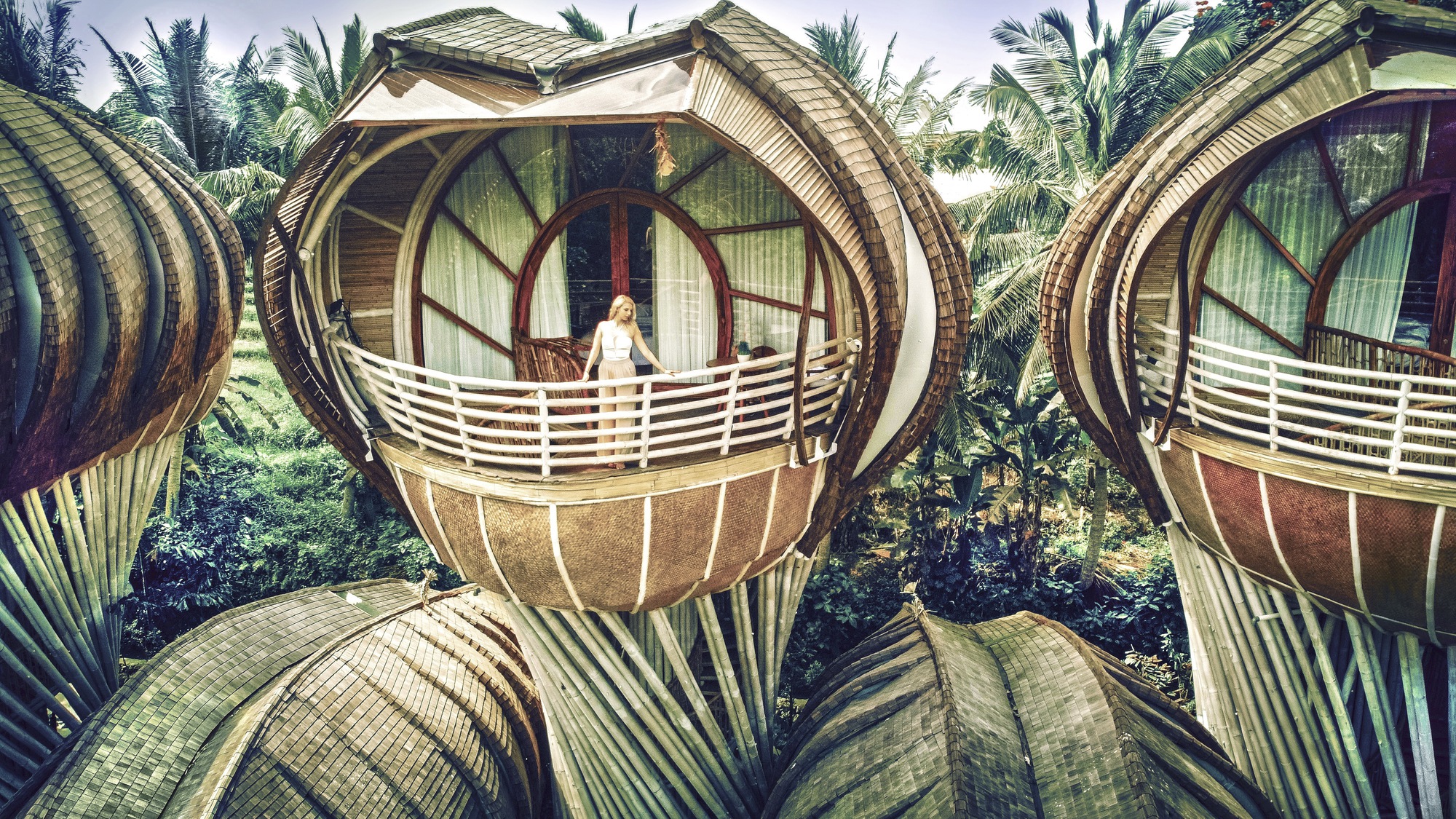 Elevated bamboo pods with ribbed cladding and horizontal railings nestled among palm trees