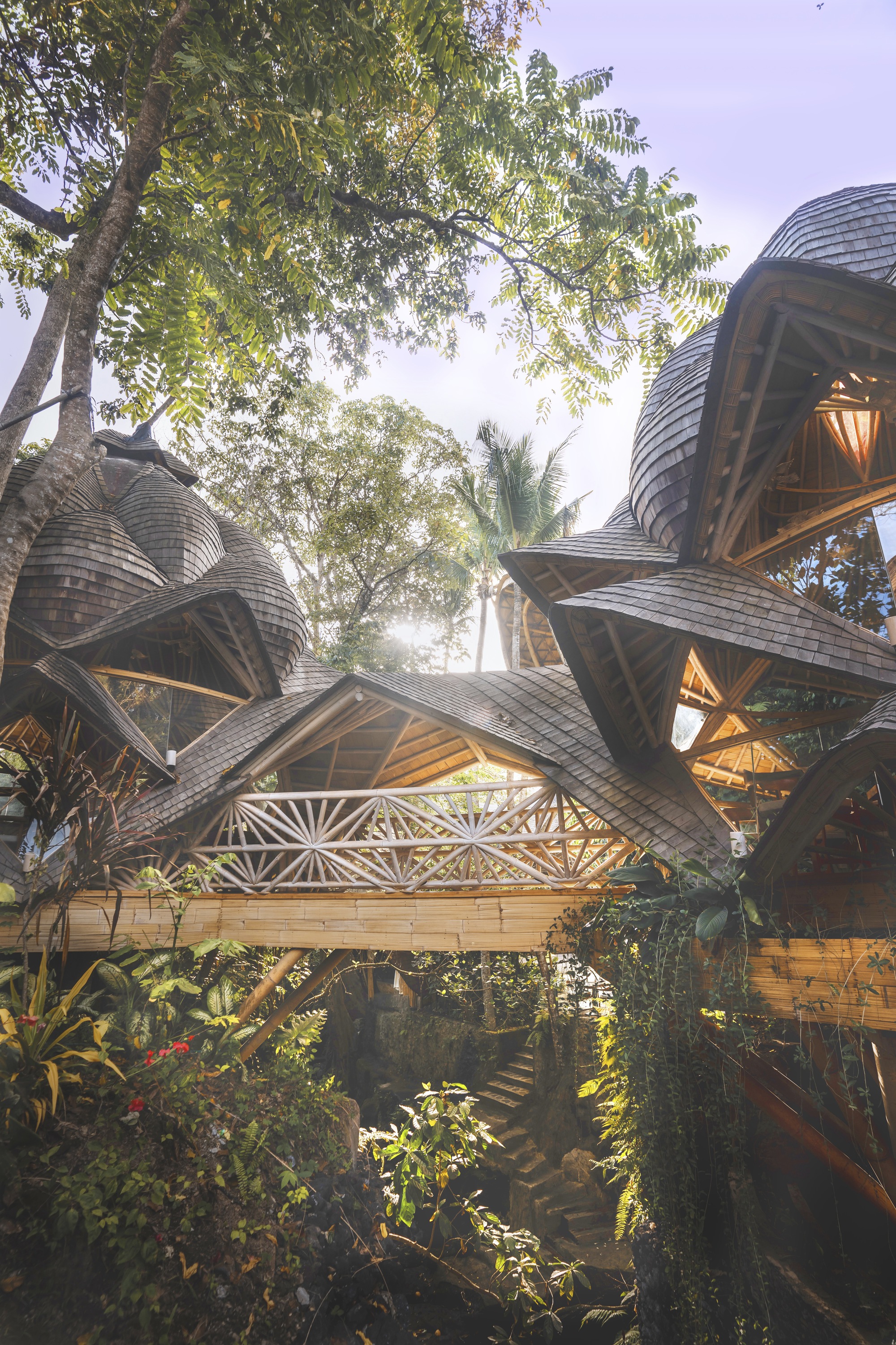 Upward view of layered bamboo volumes with geometric openings beneath overhanging tree branches at dusk