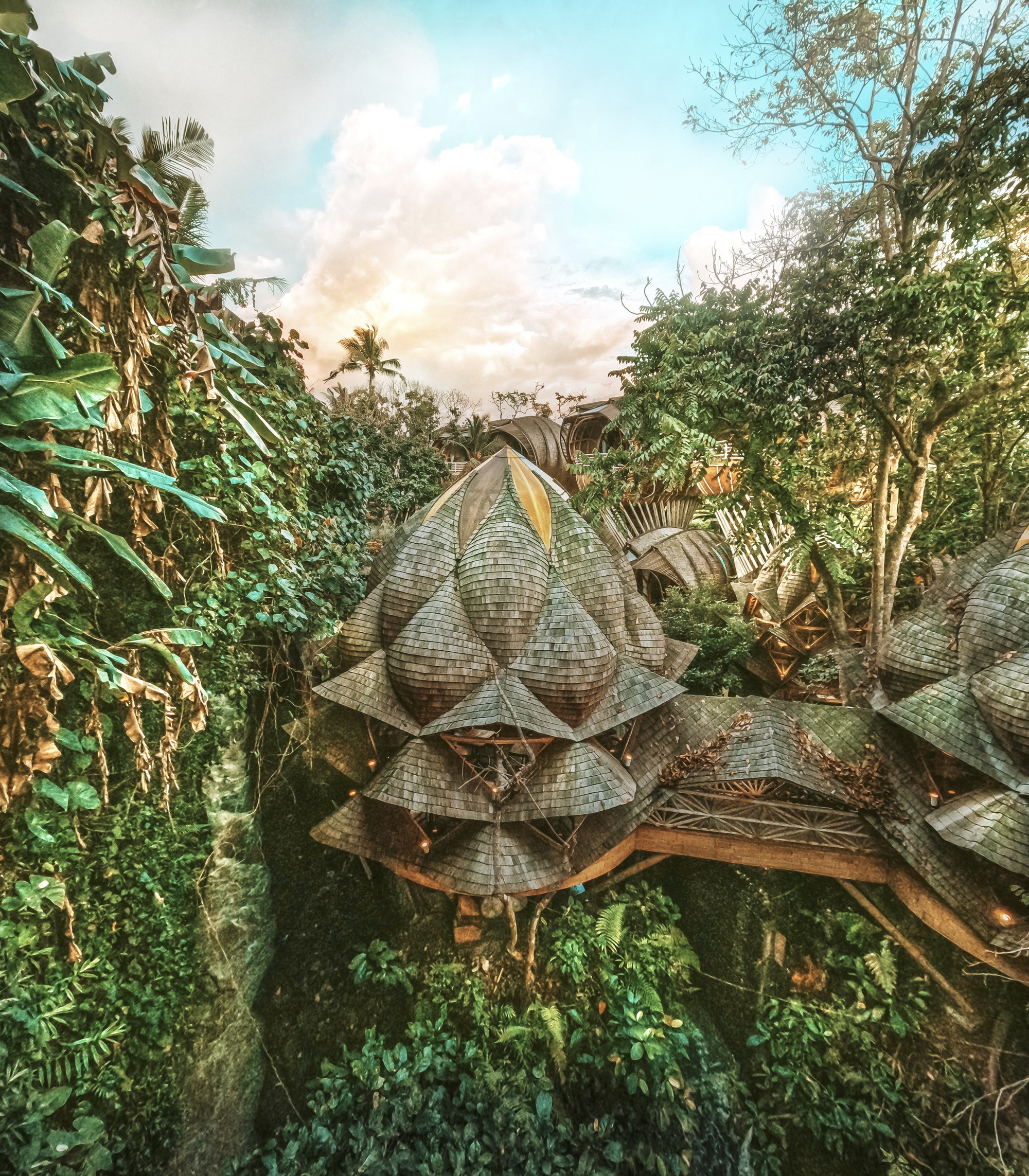 Aerial view of shingled bamboo roof clusters rising through dense tropical vegetation at sunset