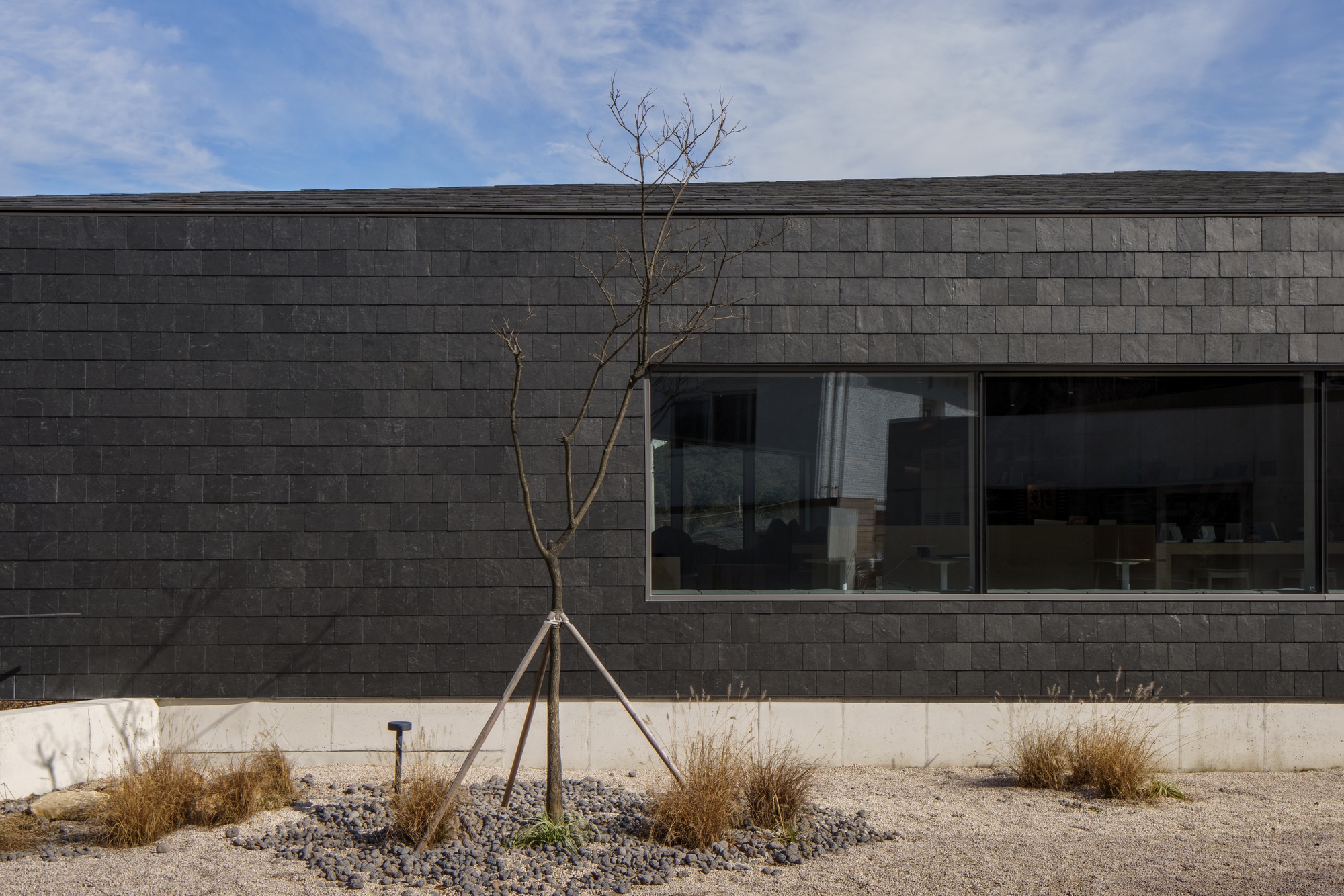 Young tree staked in gravel bed beside dark stone tile wall with horizontal window openings