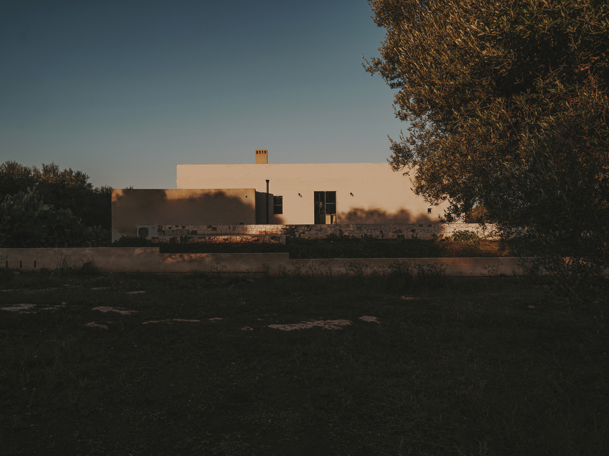Distant view of the white stucco facade framed by olive trees at sunset
