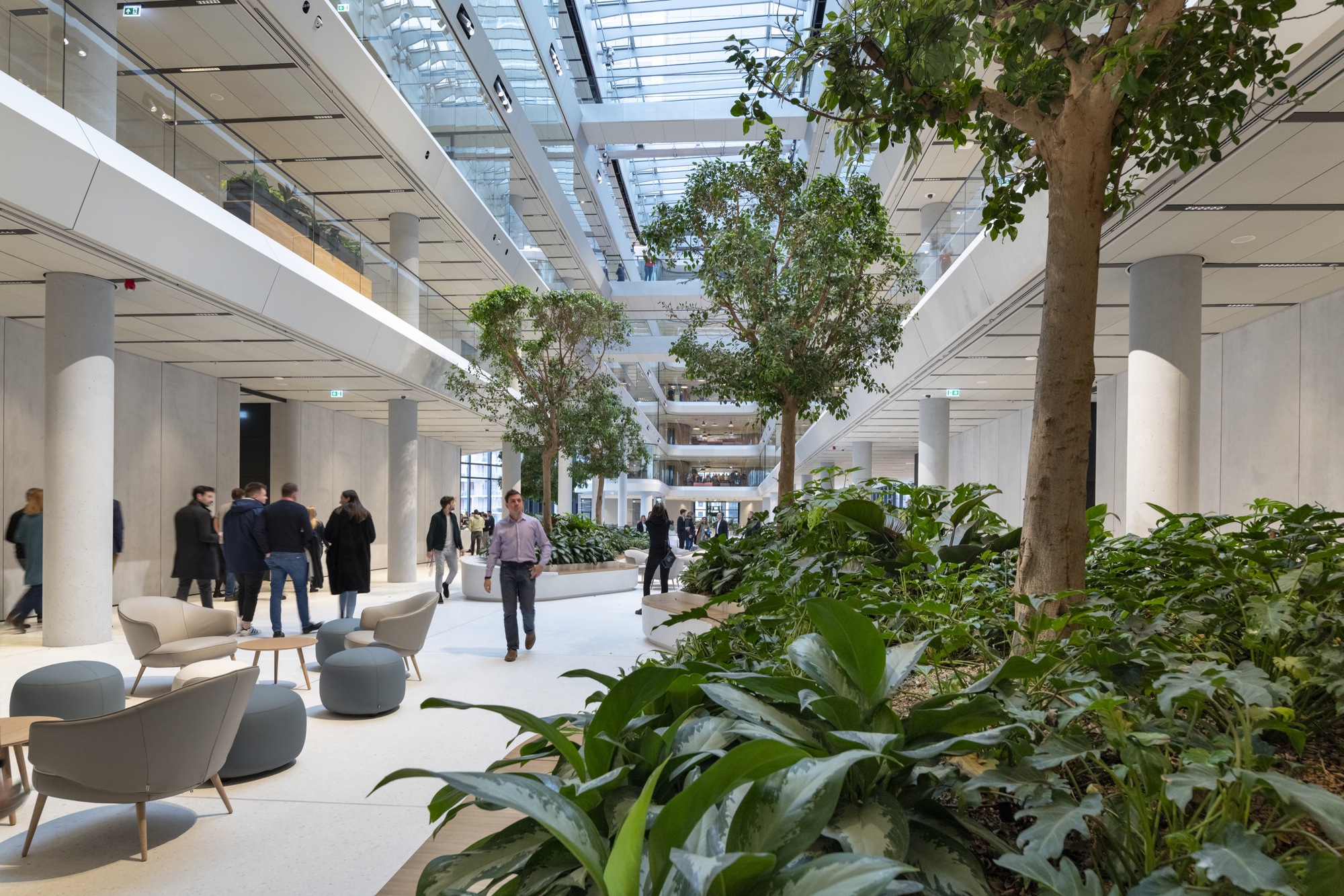 Ground floor atrium corridor with mature trees, planters, seating clusters, and skylights above white columns