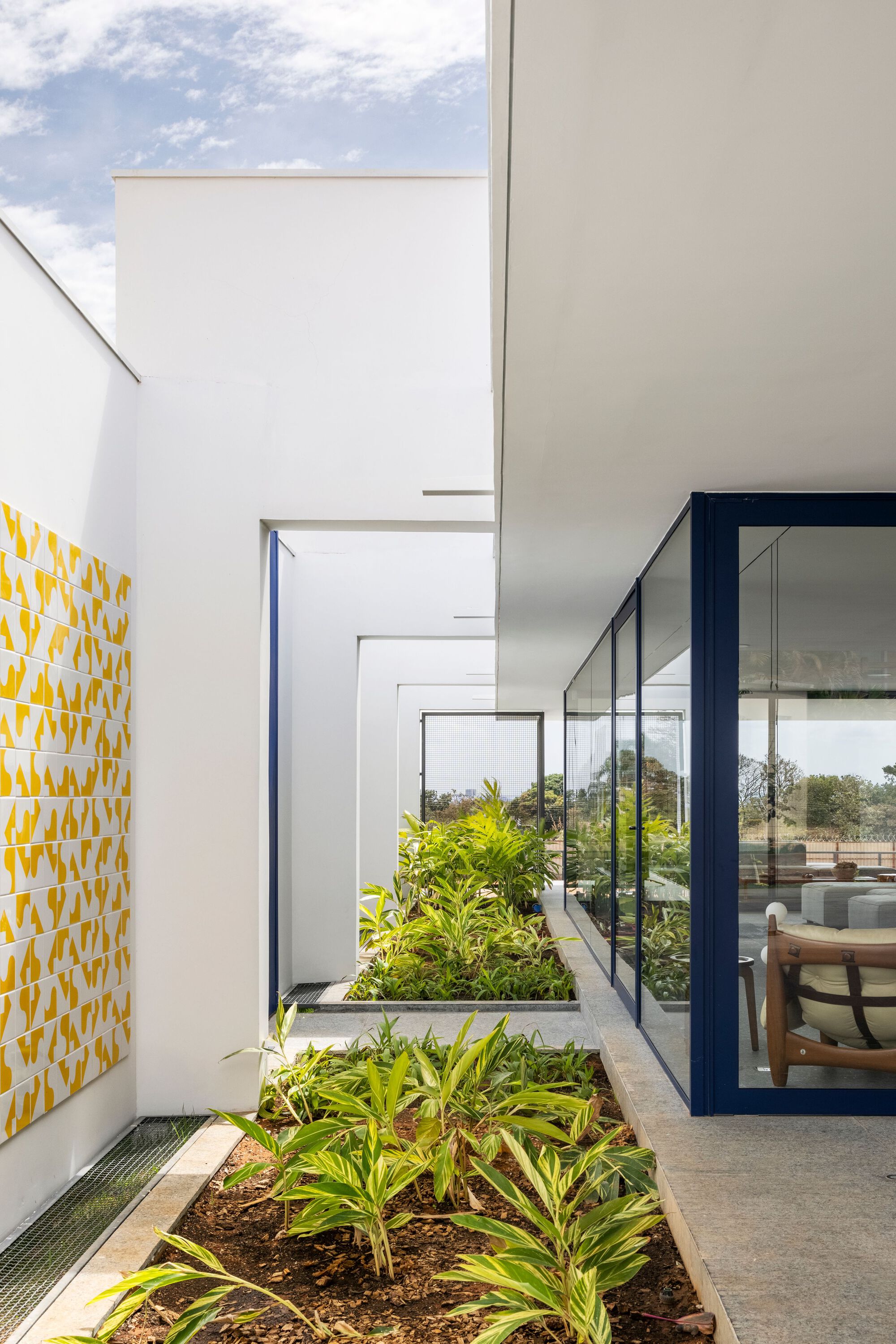 Internal courtyard with planted bed between glazed volumes and yellow geometric tile accent wall