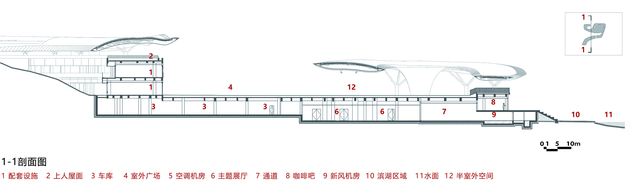 Section drawing revealing undulating roof profiles above a linear sequence of interior spaces
