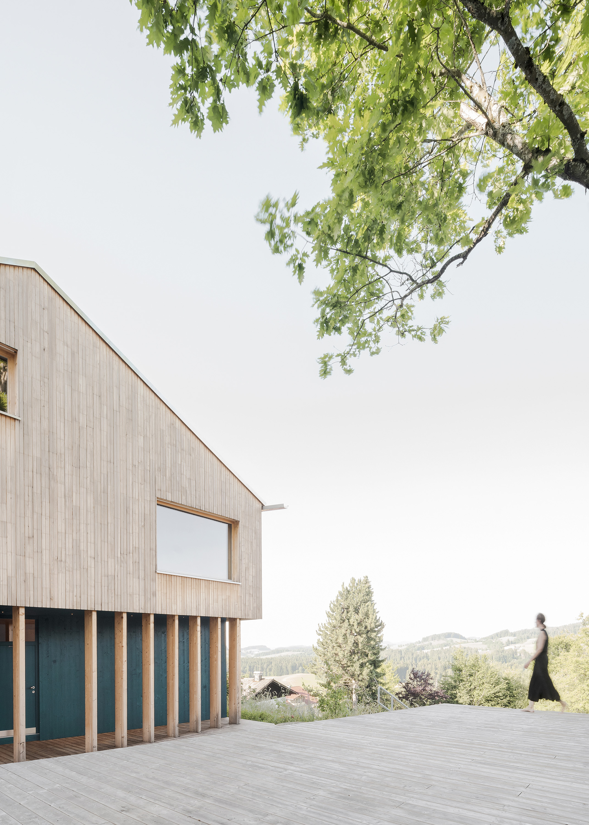 Timber deck terrace with vertical slat screen and overhanging tree branches framing the view
