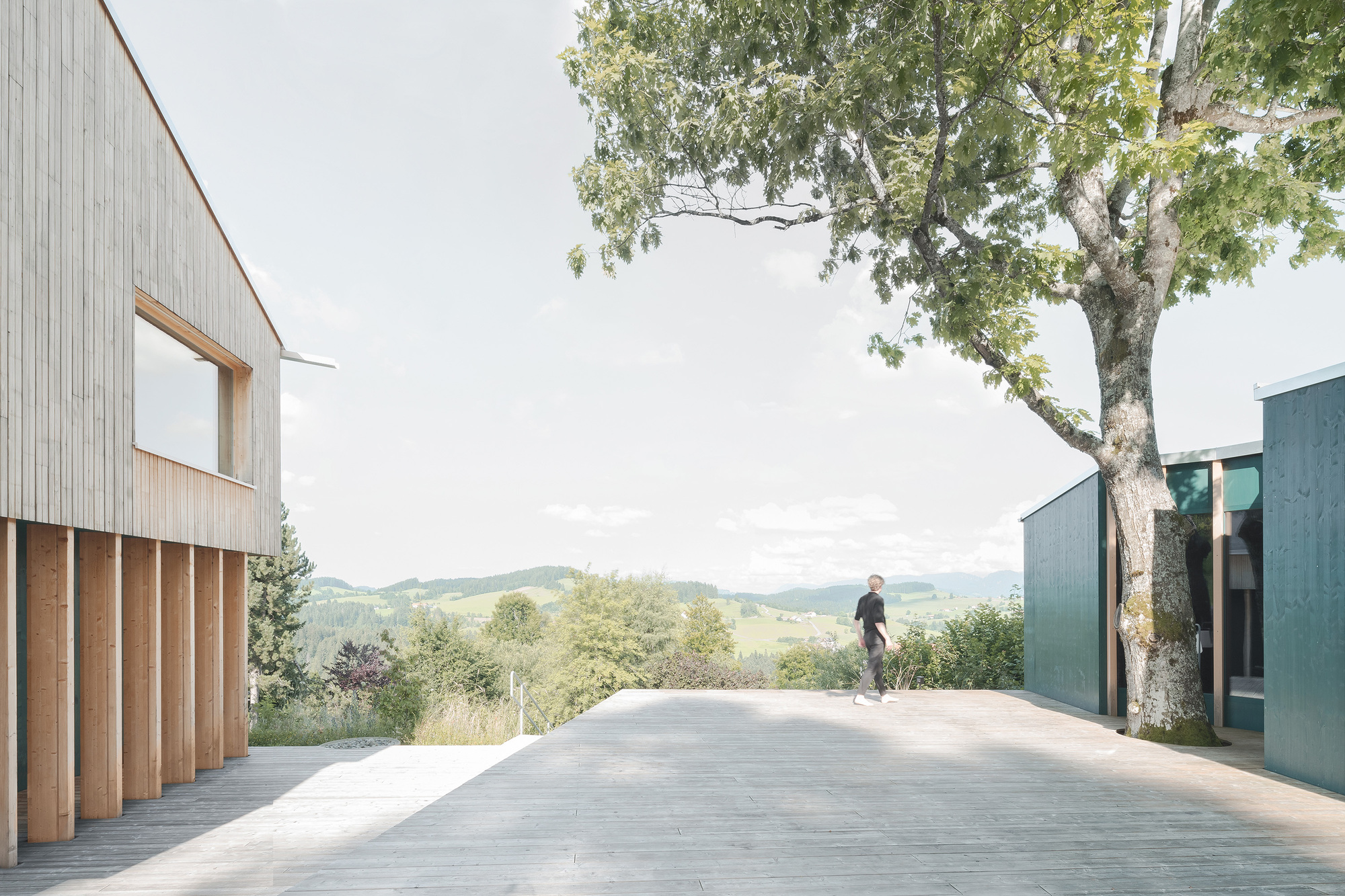 Concrete terrace between vertical timber-clad volume and blue metal pavilion with two figures beneath a tree
