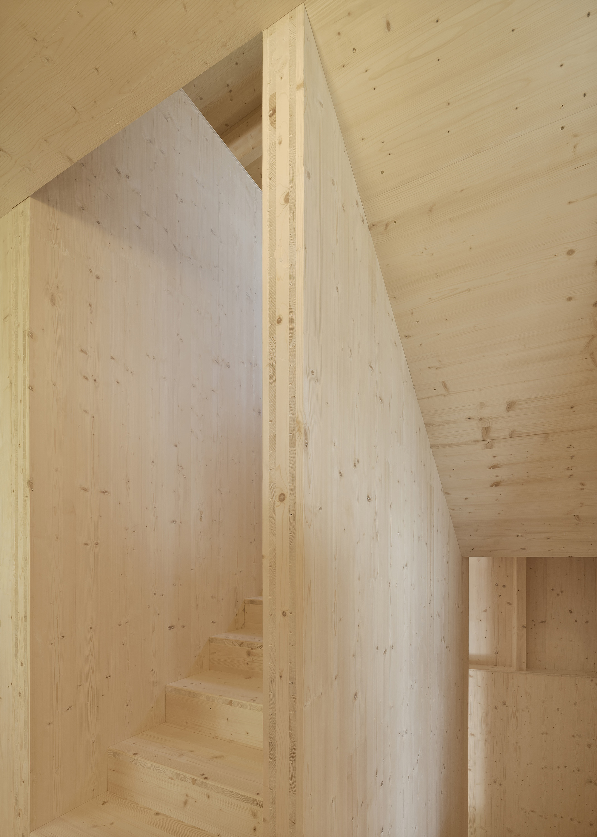 Light wood staircase enclosed by angled plywood walls beneath an exposed timber ceiling