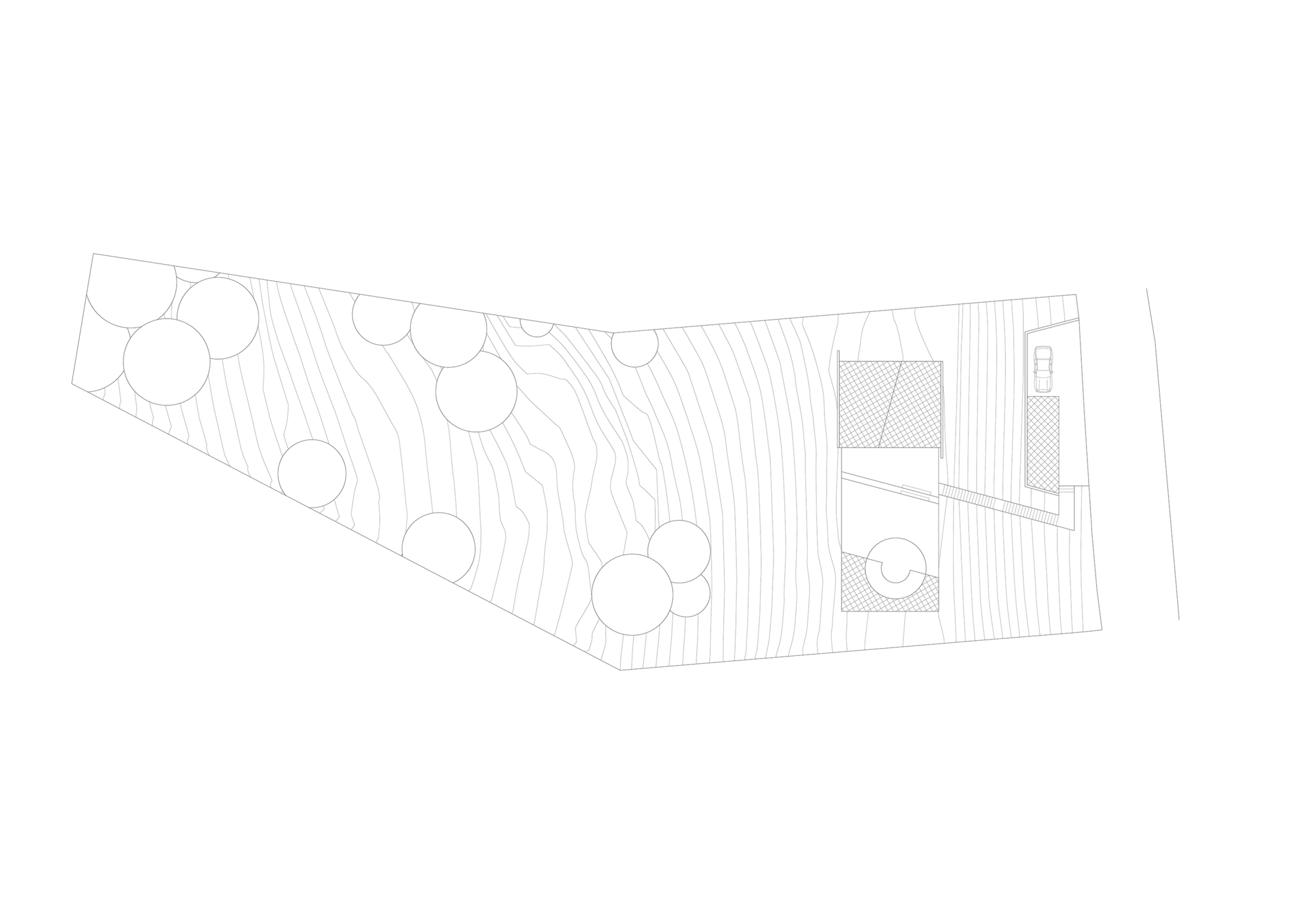 Site plan drawing showing a sloped landscape with circular tree canopies and two rectilinear volumes