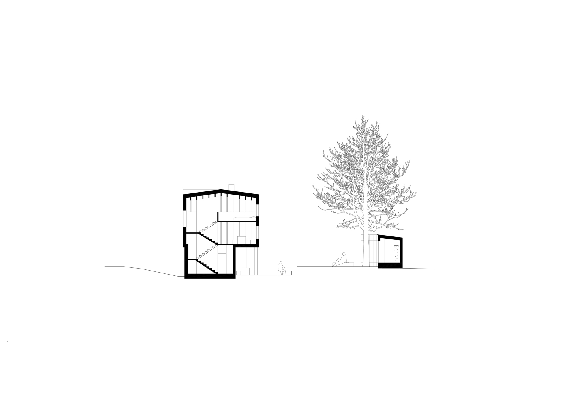 Section drawing showing a two-story volume with internal staircase beside a single-story pavilion and tall conifer