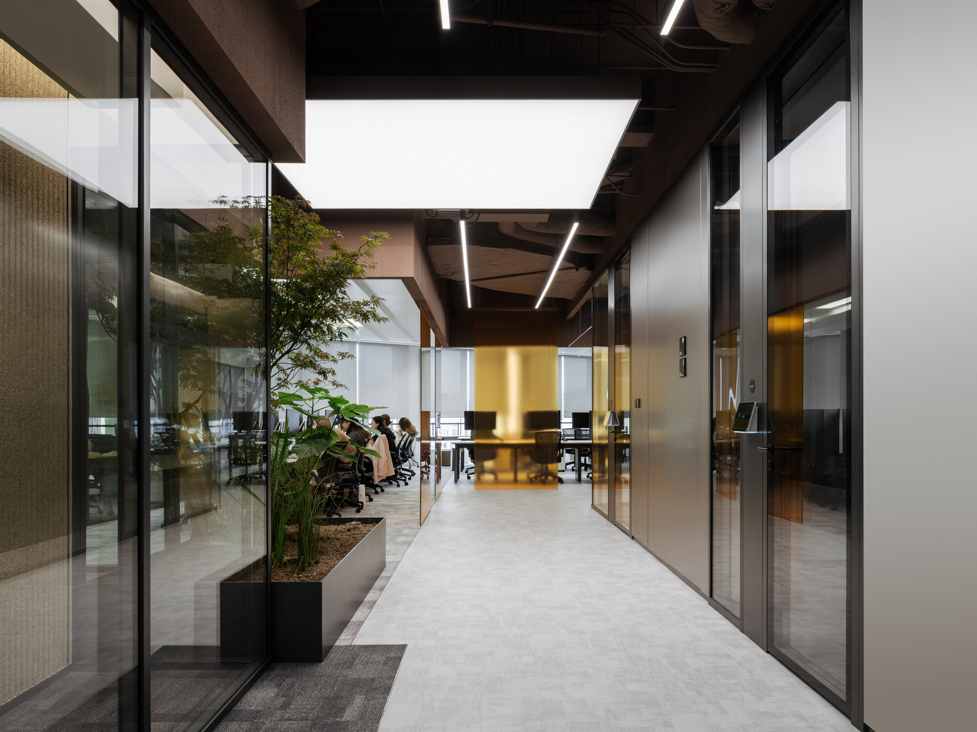 This architectural image showcases a modern office interior featuring a long hallway with glass-partitioned offices on either side. The design emphasizes clean