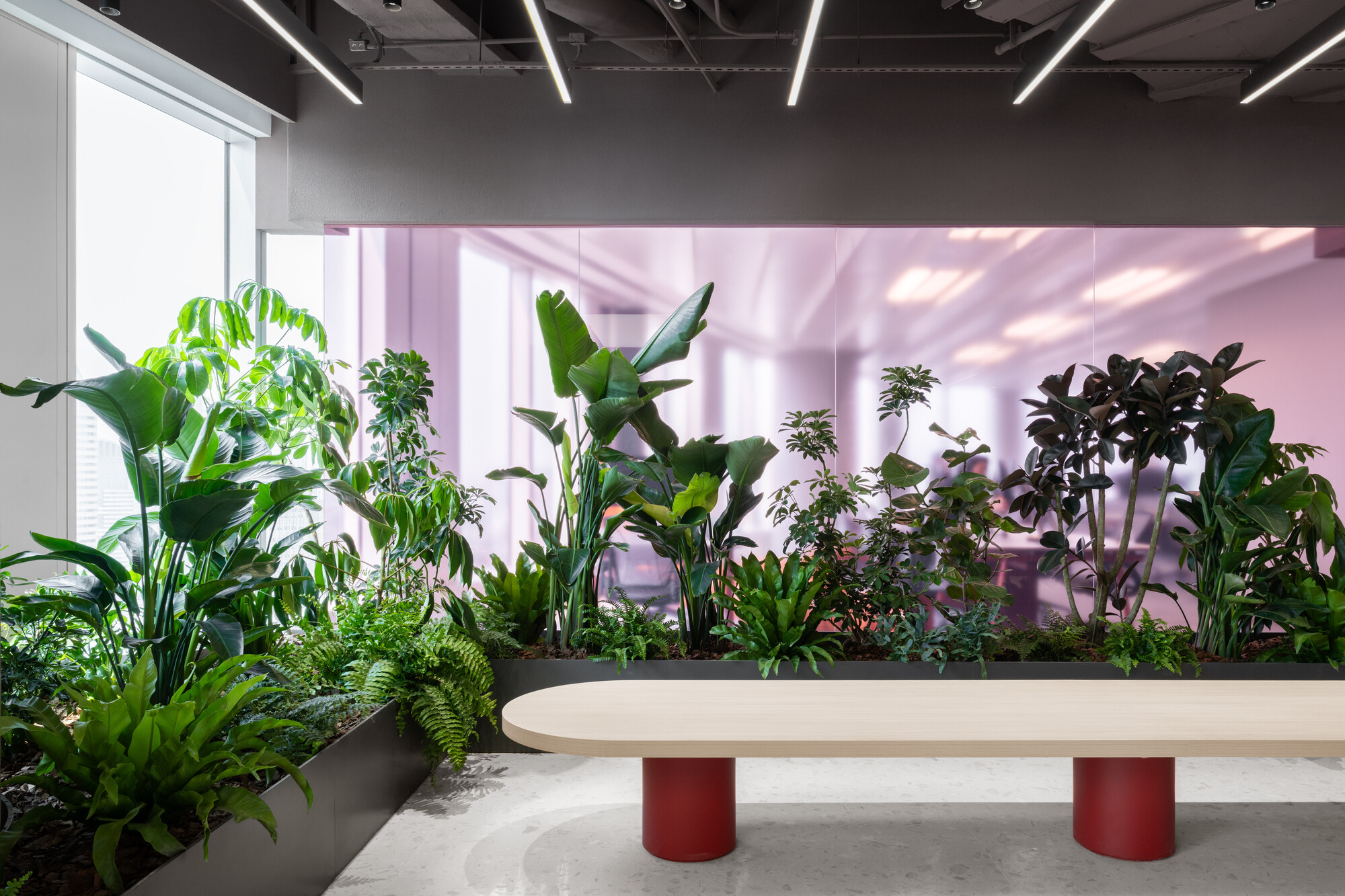 This architectural image showcases a modern office space with a strong emphasis on biophilic design. A lush plant wall creates a serene and calming atmosphere,