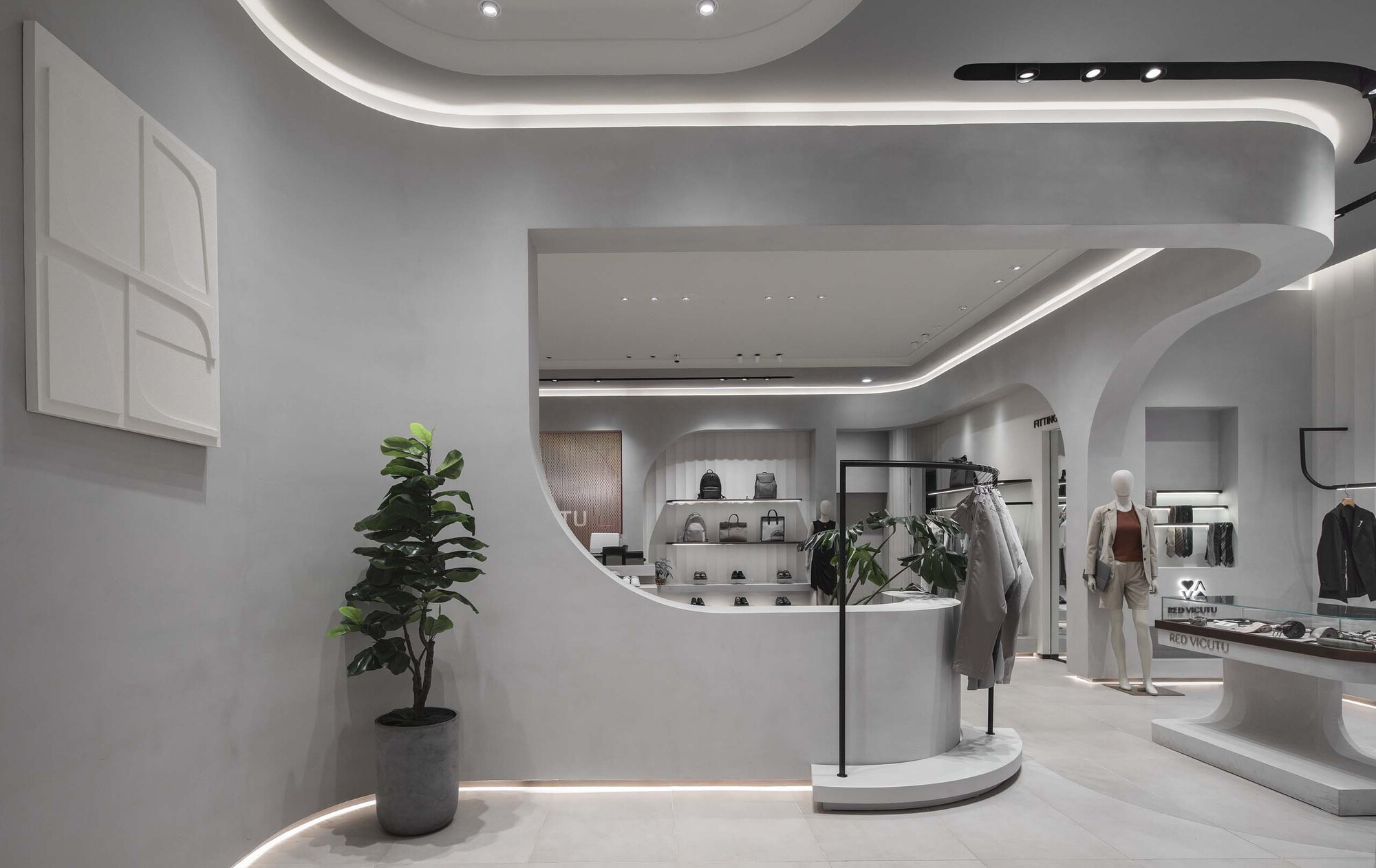 View toward the curved display counter with a potted fiddle-leaf fig beside the white partition wall