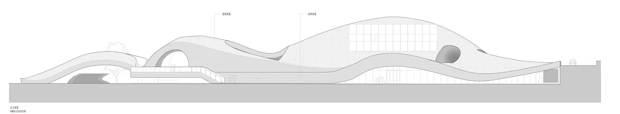 Section drawing depicting undulating roof profiles with curved shells and circular openings