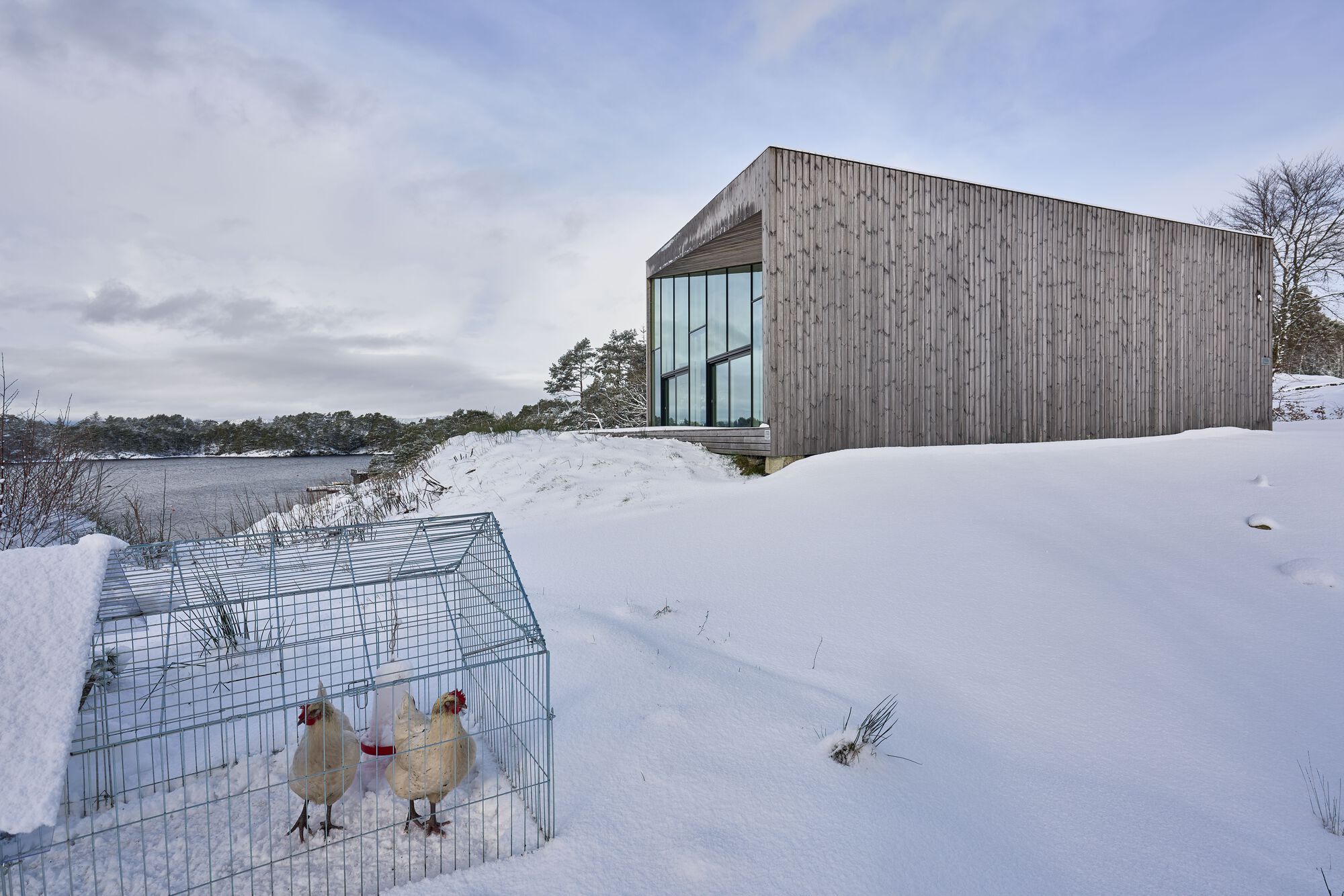 Wood-clad volume above a snowy slope with a wire chicken coop and two hens near the water