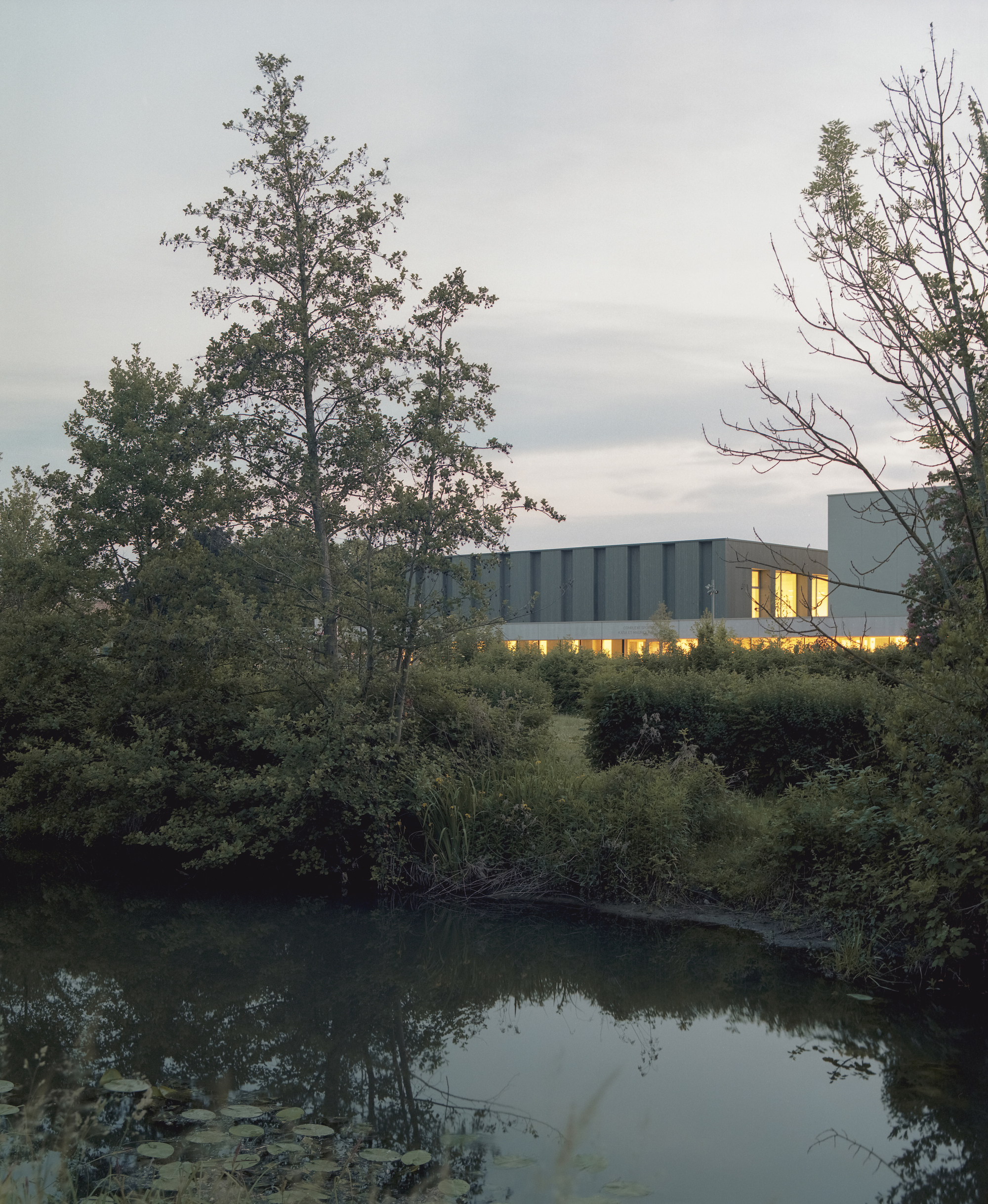 Illuminated upper volume with ribbed facade framed by trees and pond at dusk