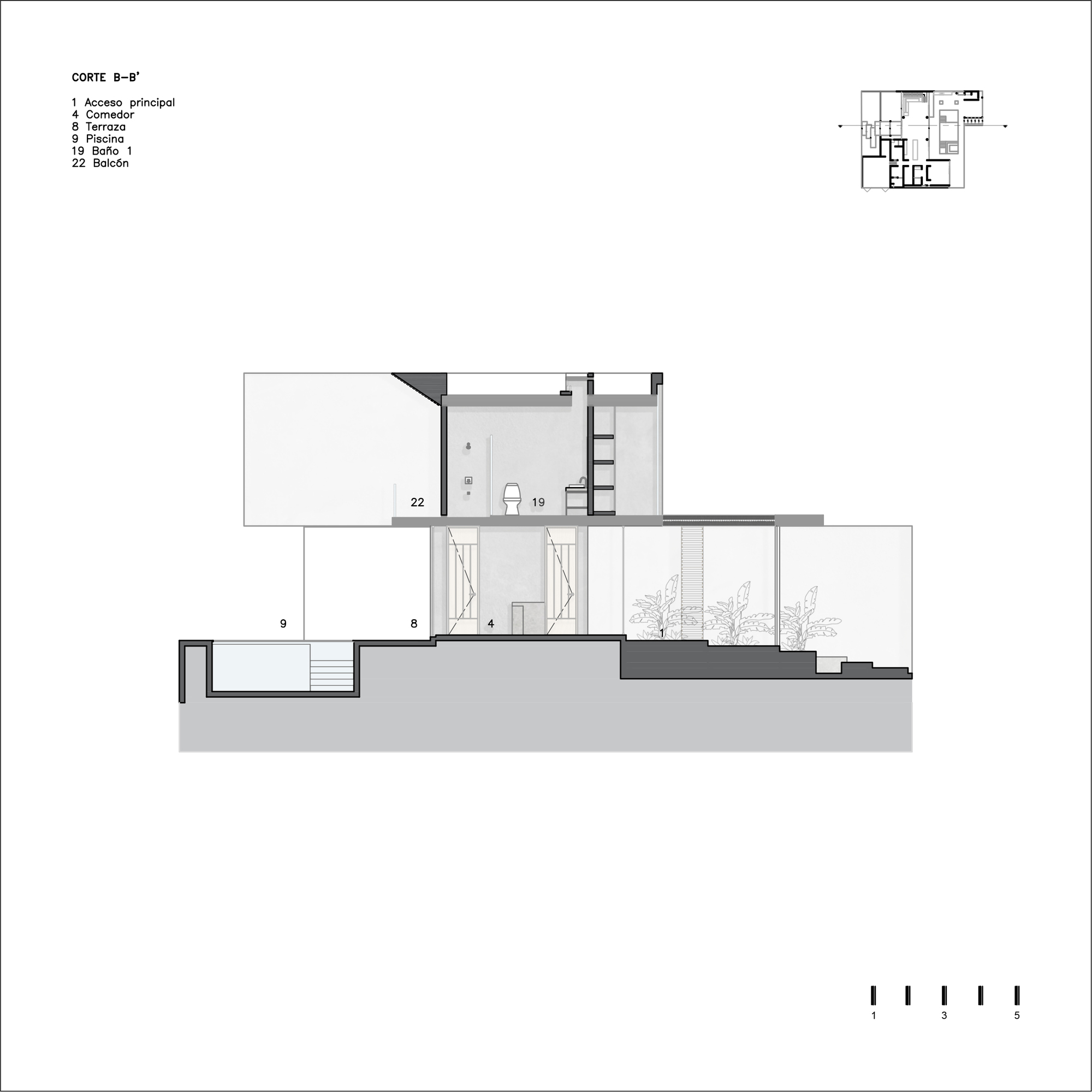 Section drawing revealing sunken entry, multilevel interior spaces and a planted side terrace