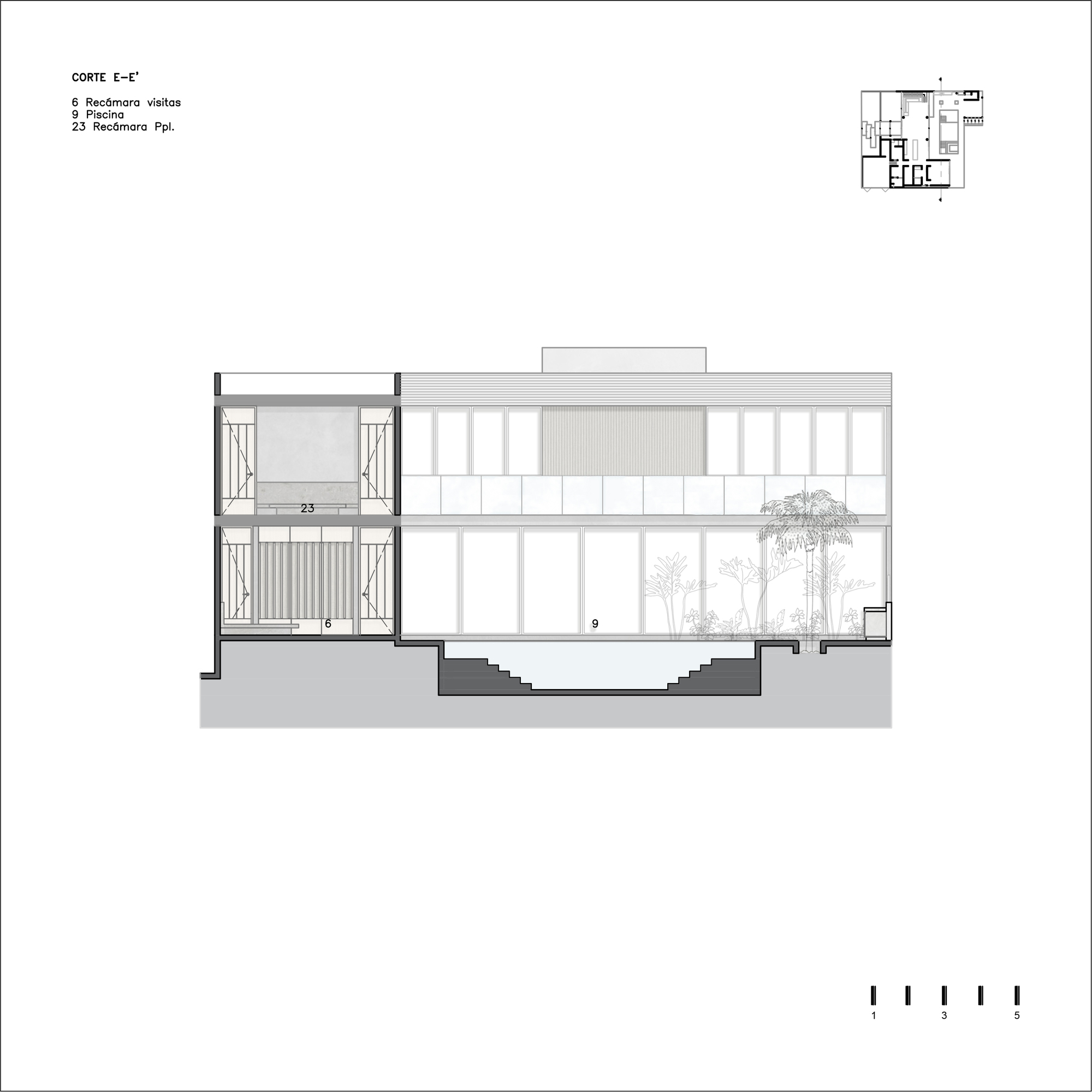Section drawing displaying double-height courtyard with trees and flanking stacked balcony spaces