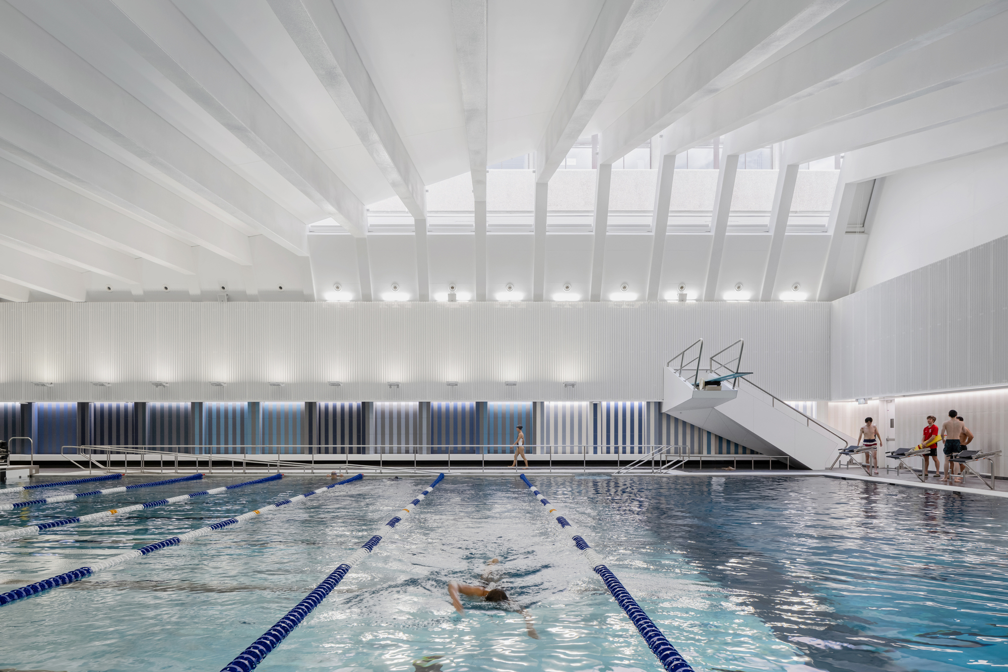 Indoor lap pool with diving platform under white beam ceiling and vertical ribbed wall panels