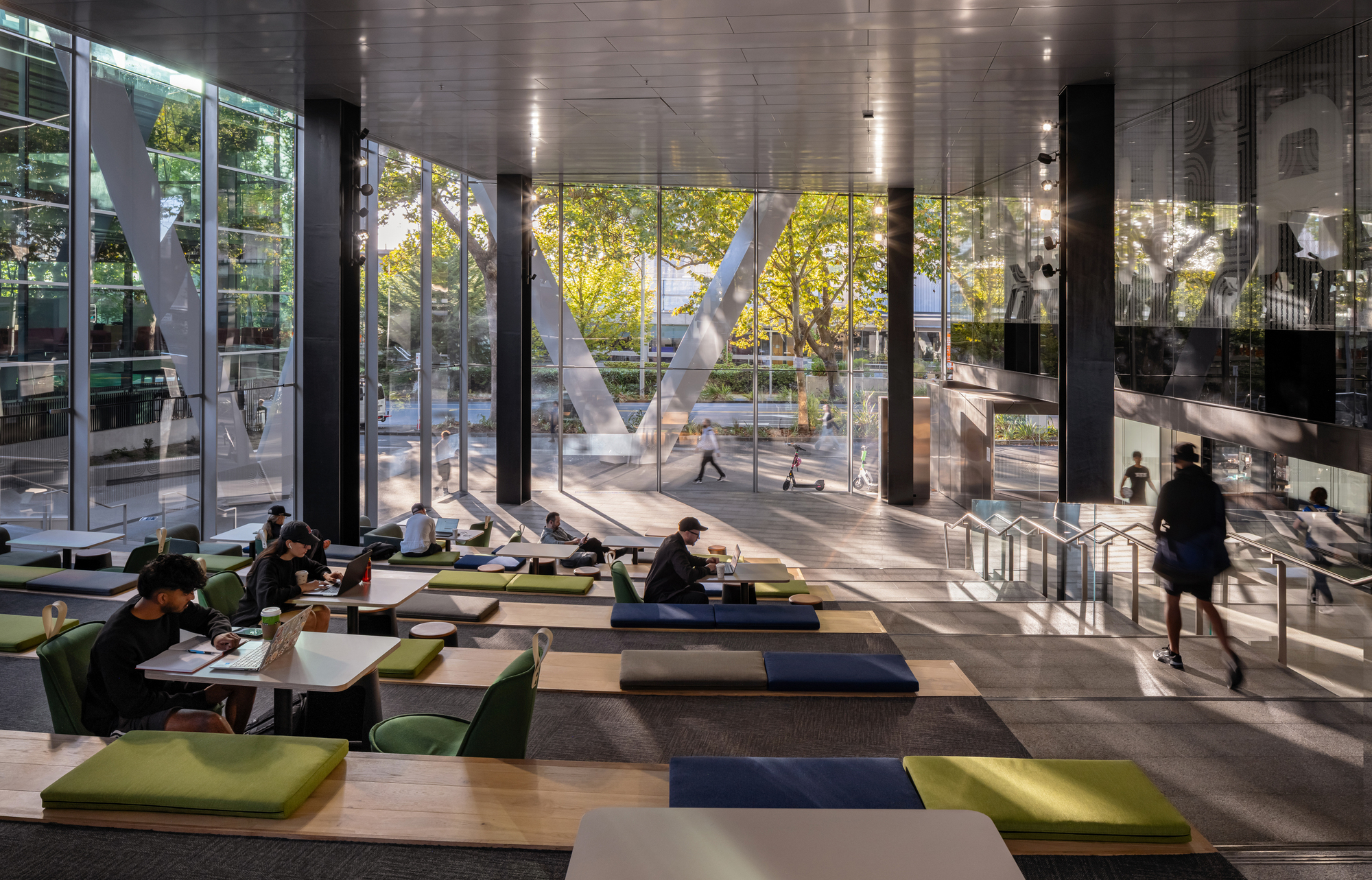 Ground floor study space with tiered seating overlooking glazed courtyard filled with afternoon light and trees