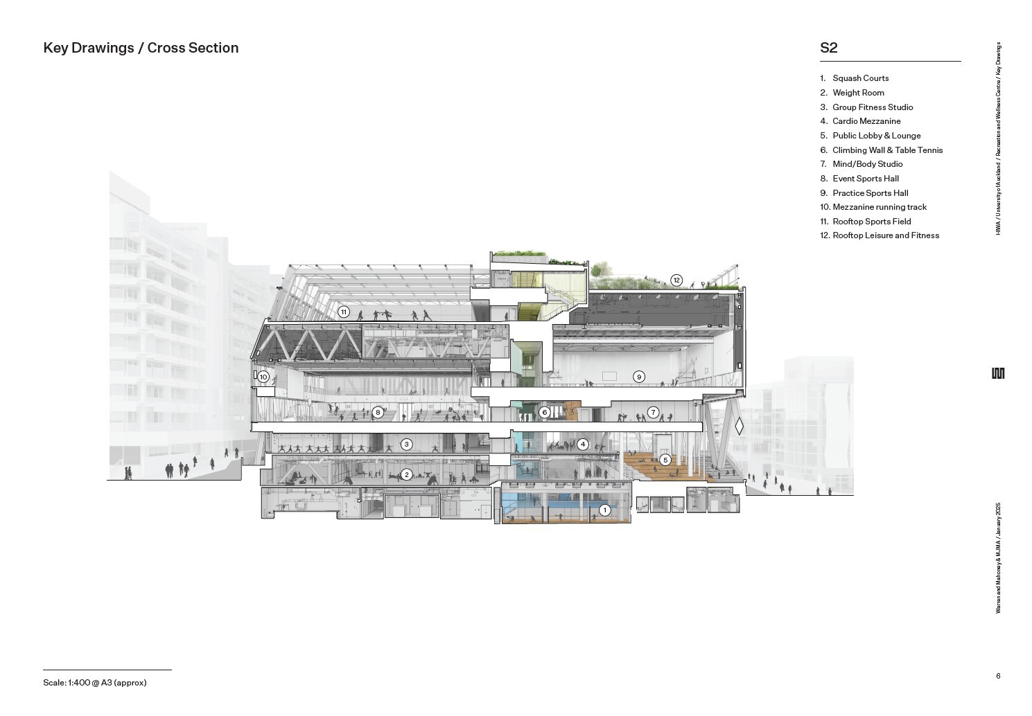 Cross section drawing showing angled roof structure with planted terraces and internal program distribution
