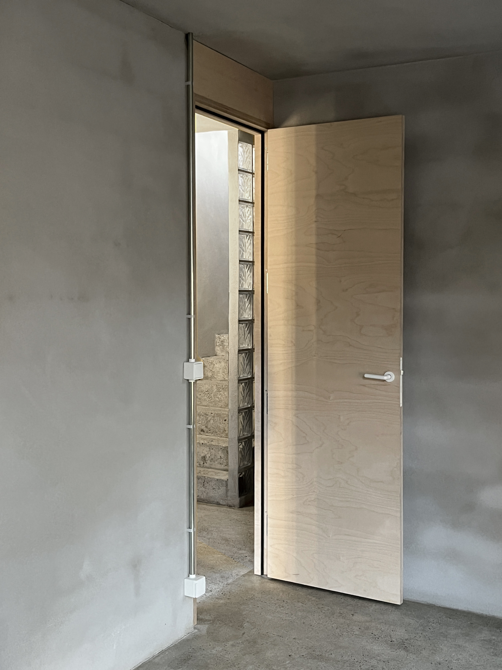Light wood door partially open in concrete room revealing glass block wall in adjacent space