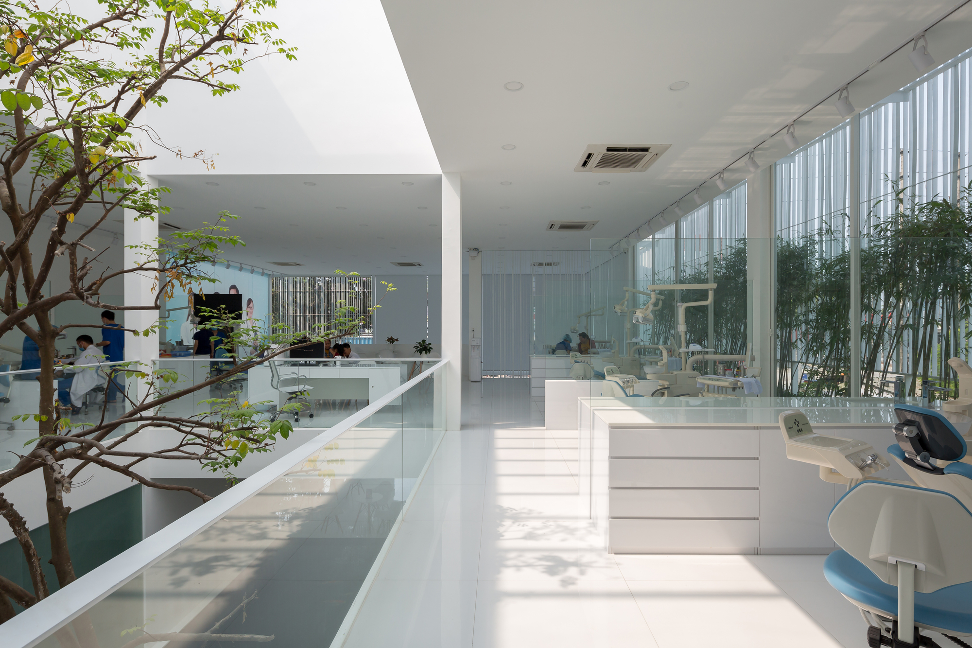 Interior workstation with polished floor reflecting trees and light from vertical screening along the facade