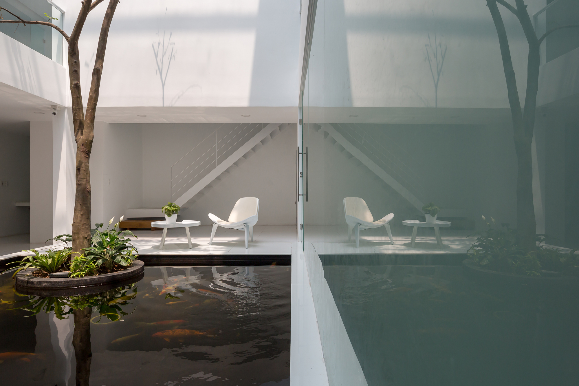 Interior courtyard with koi pond reflecting a frosted glass wall and lounge seating below a staircase