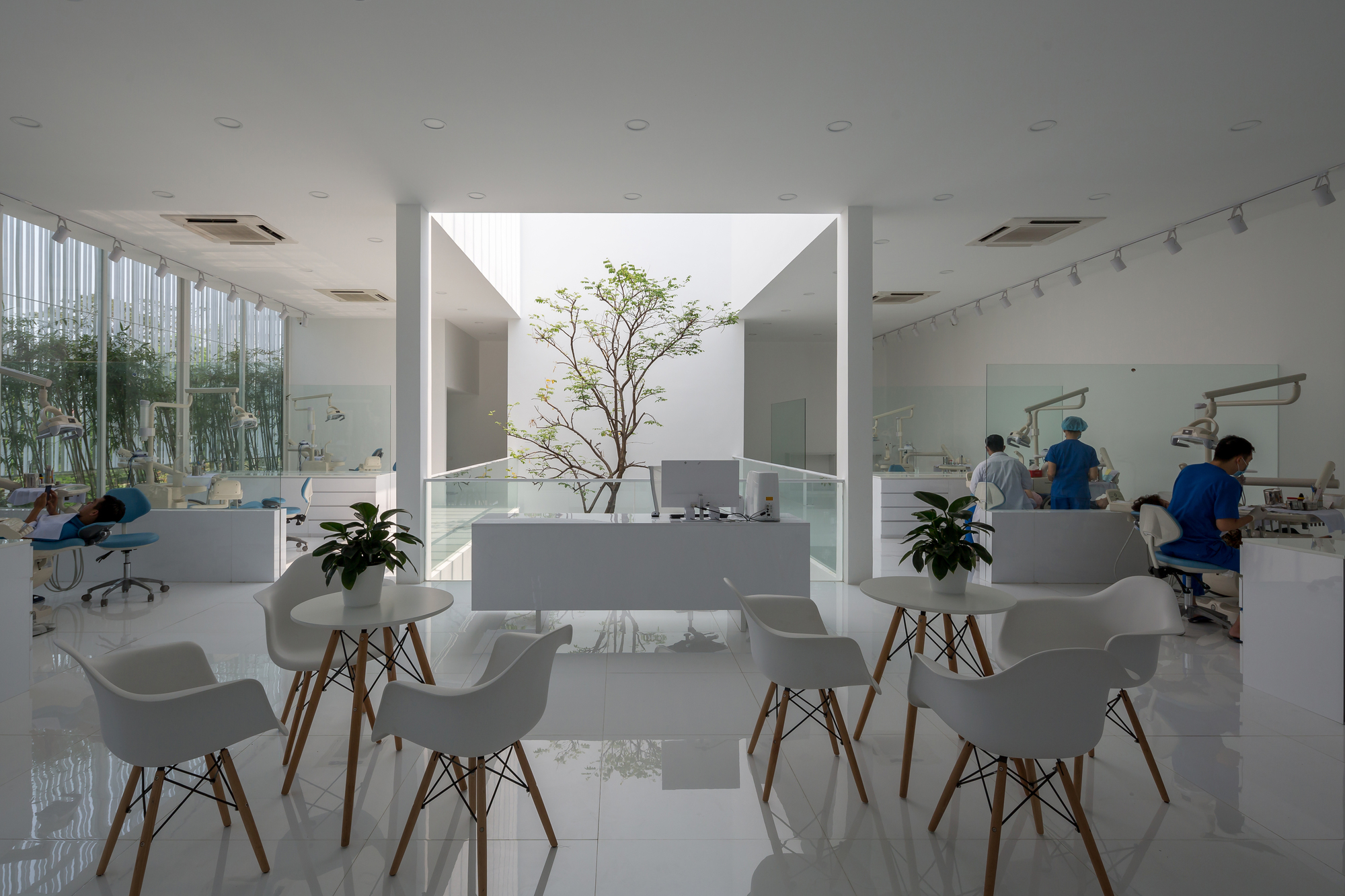 Waiting area with white chairs framing a central courtyard containing a tree under a skylight