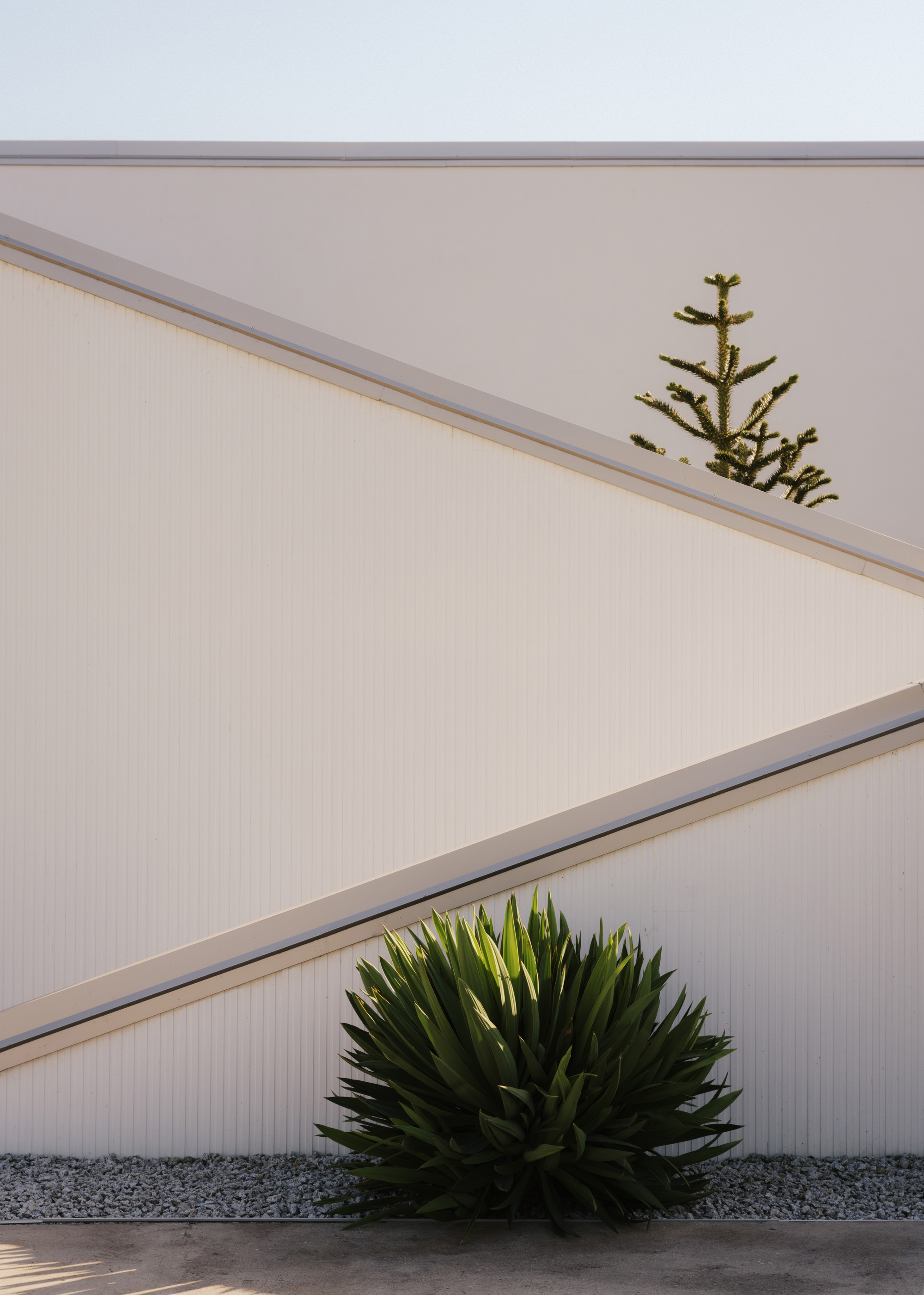Layered white stucco parapets with vertical ribbed panels and plantings in gravel bed at dusk
