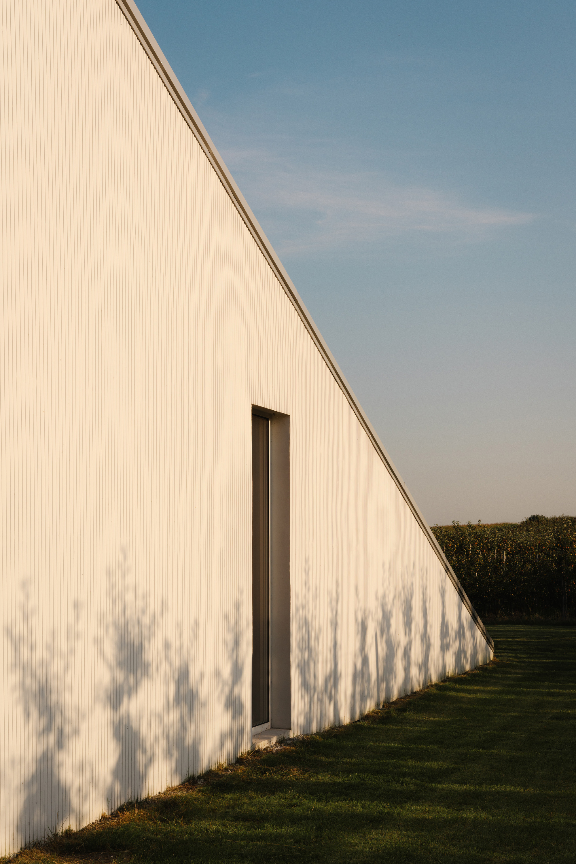 White corrugated metal facade with single door opening and plant shadows cast in late afternoon light