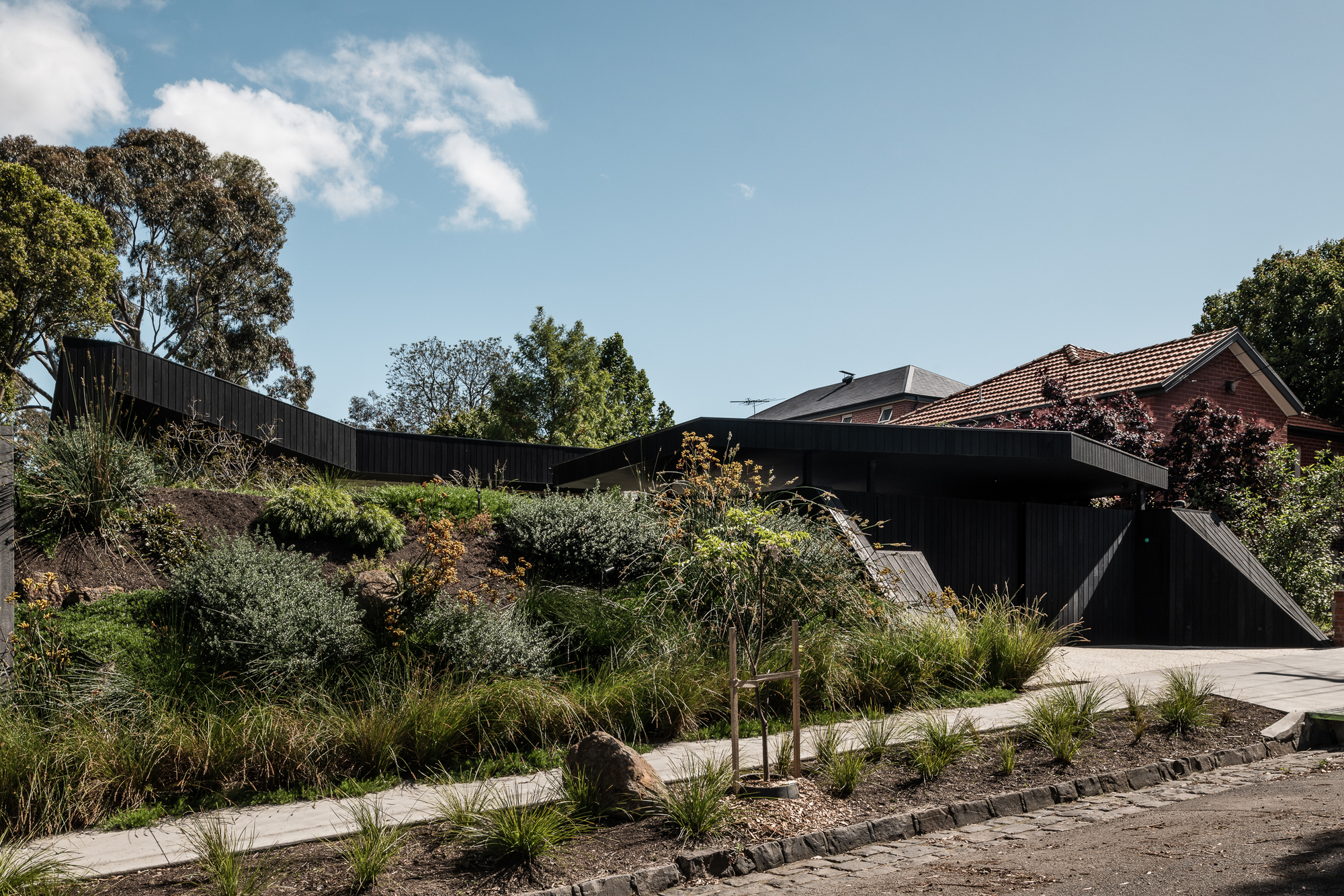 Street view of the angled black timber structure emerging from a planted embankment with native grasses